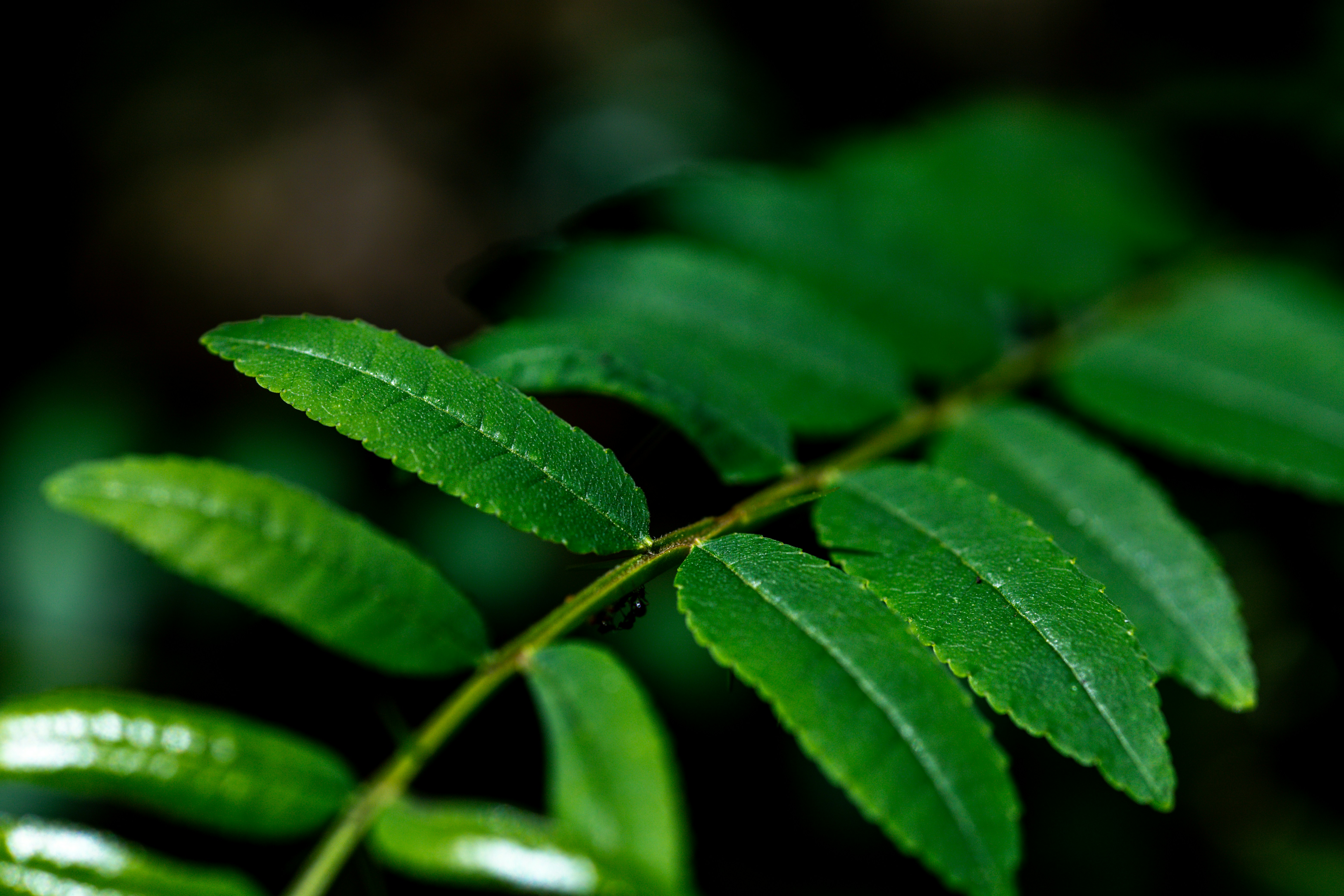 Photo by rrodriguesim