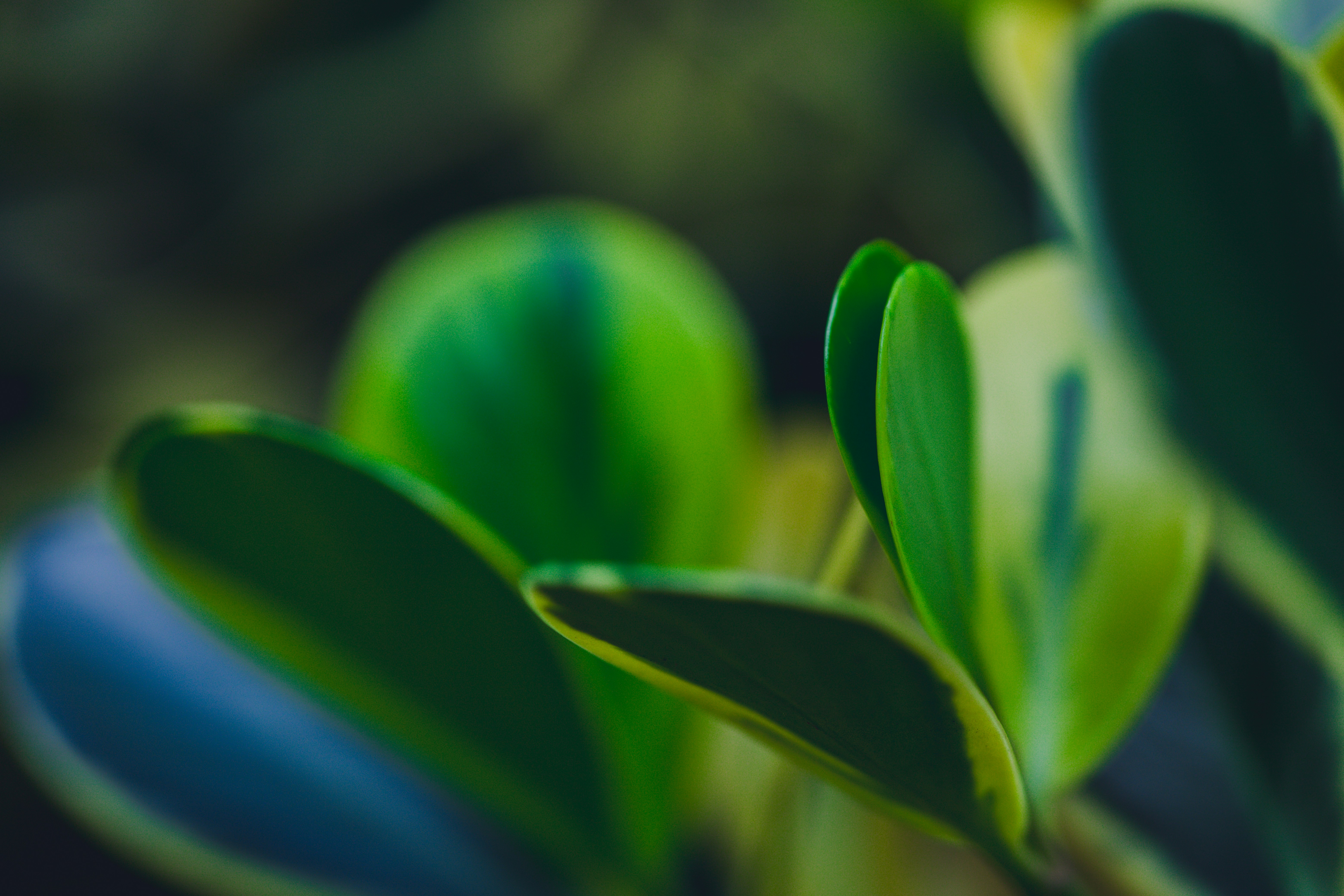 Photo by rrodriguesim