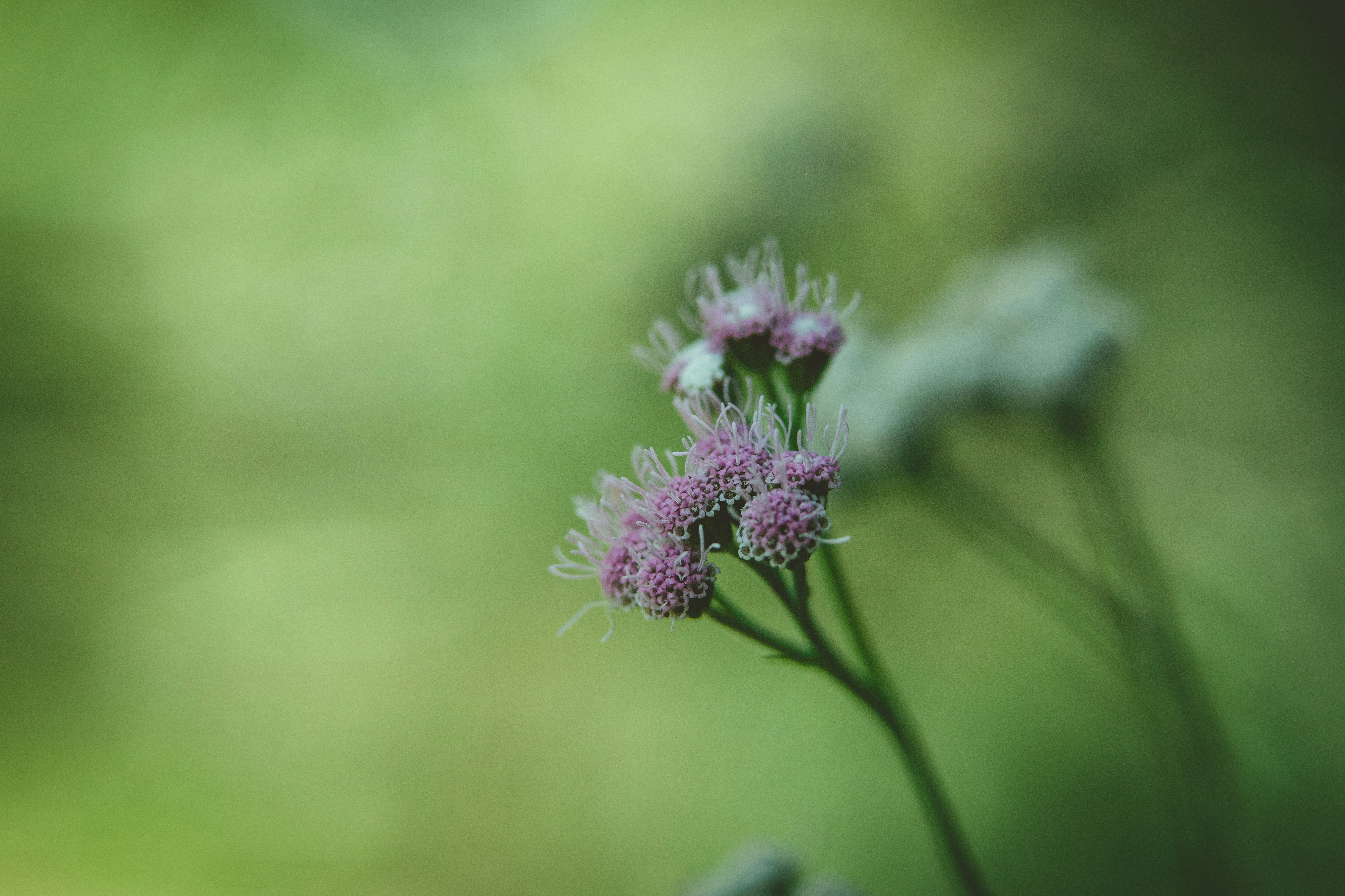 Photo by rrodriguesim