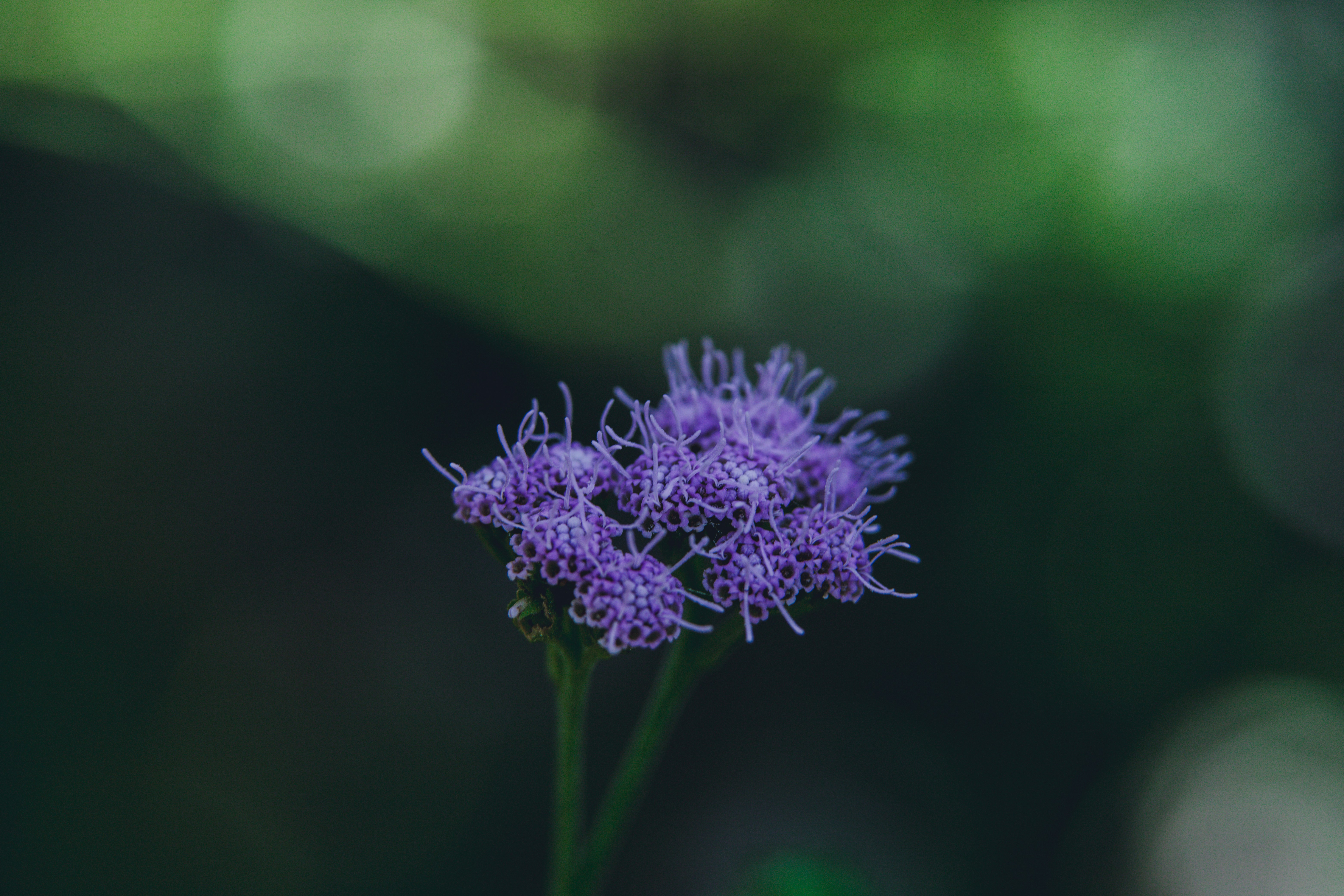 Photo by rrodriguesim