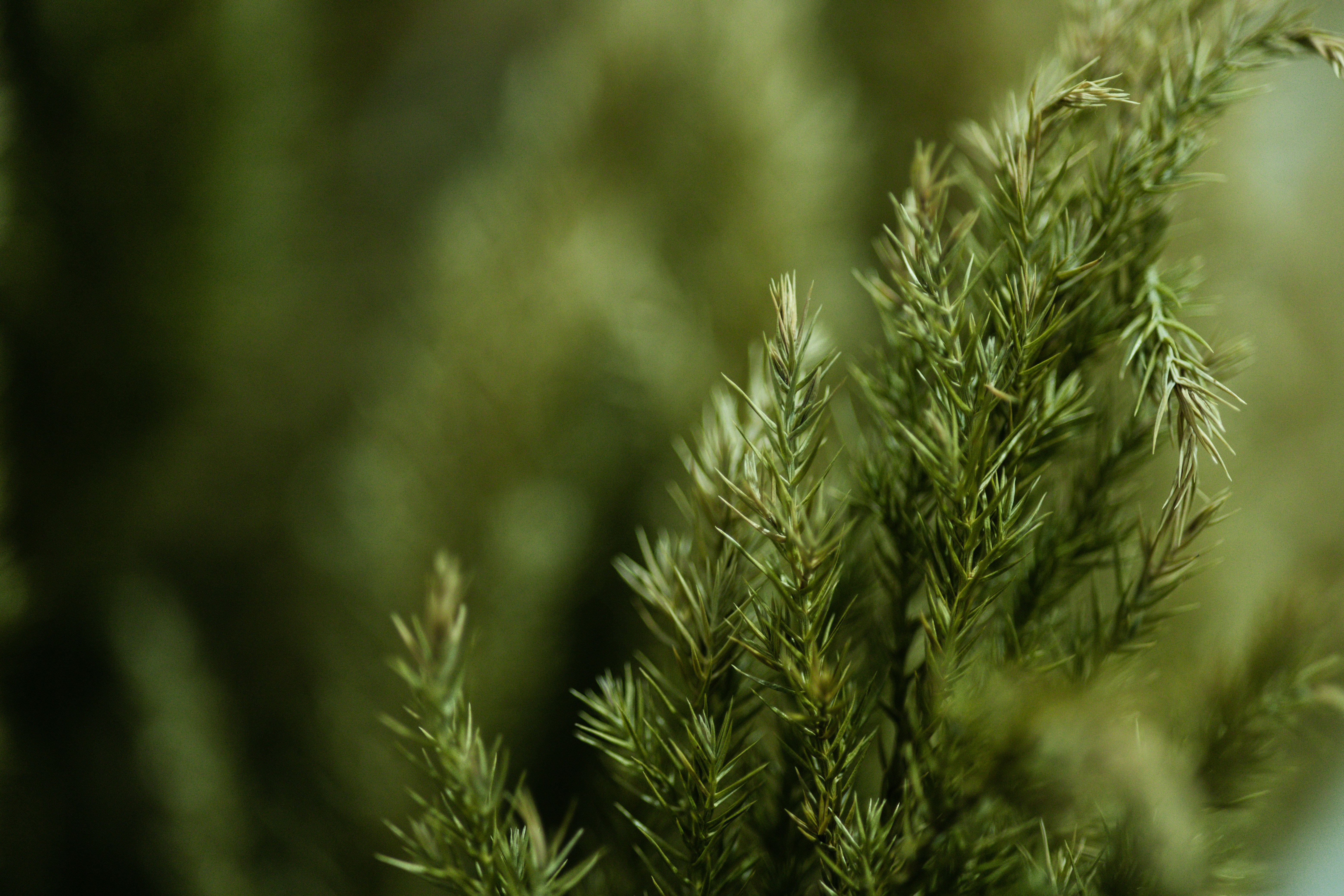 Photo by rrodriguesim