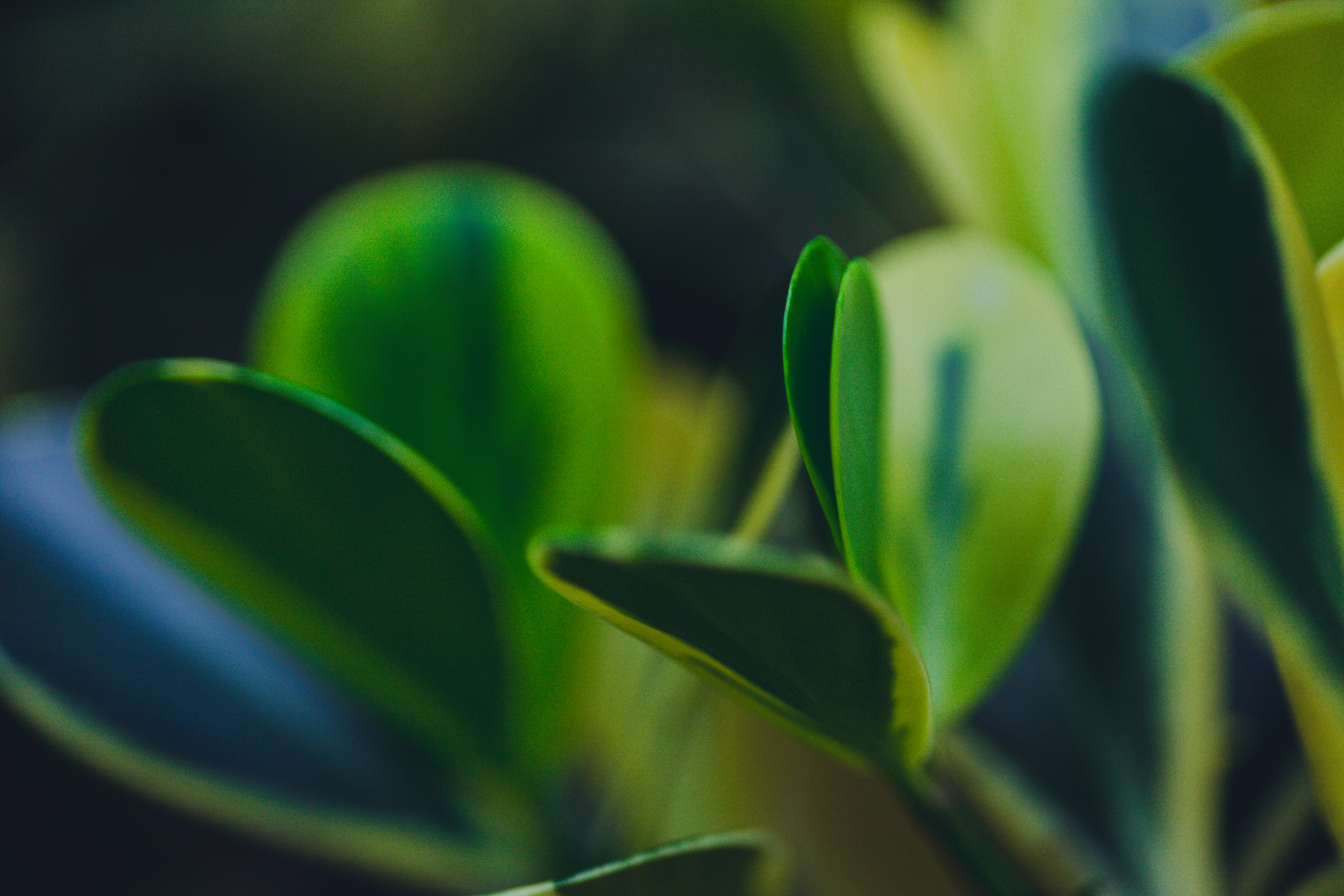 Photo by rrodriguesim