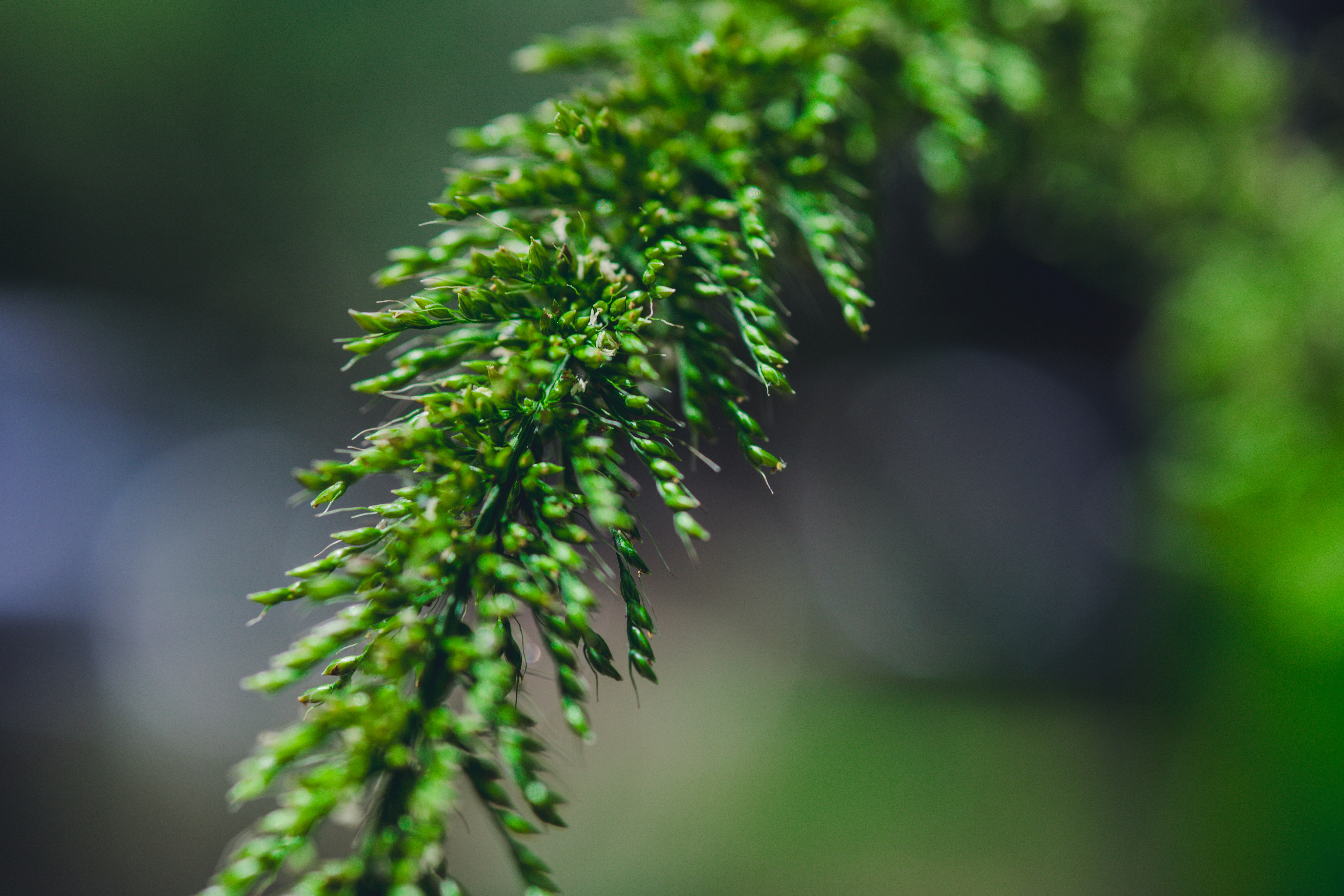 Photo by rrodriguesim