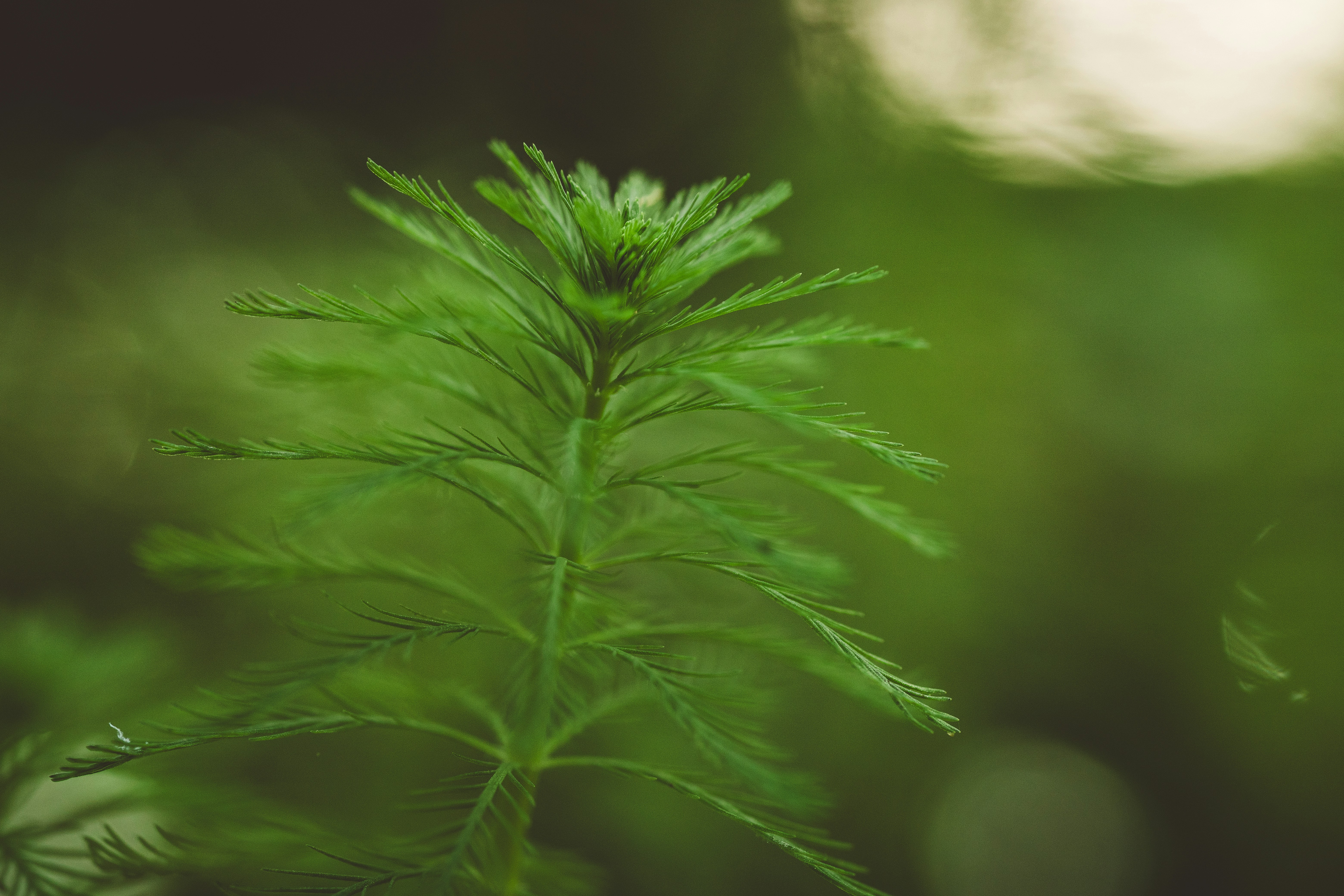 Photo by rrodriguesim