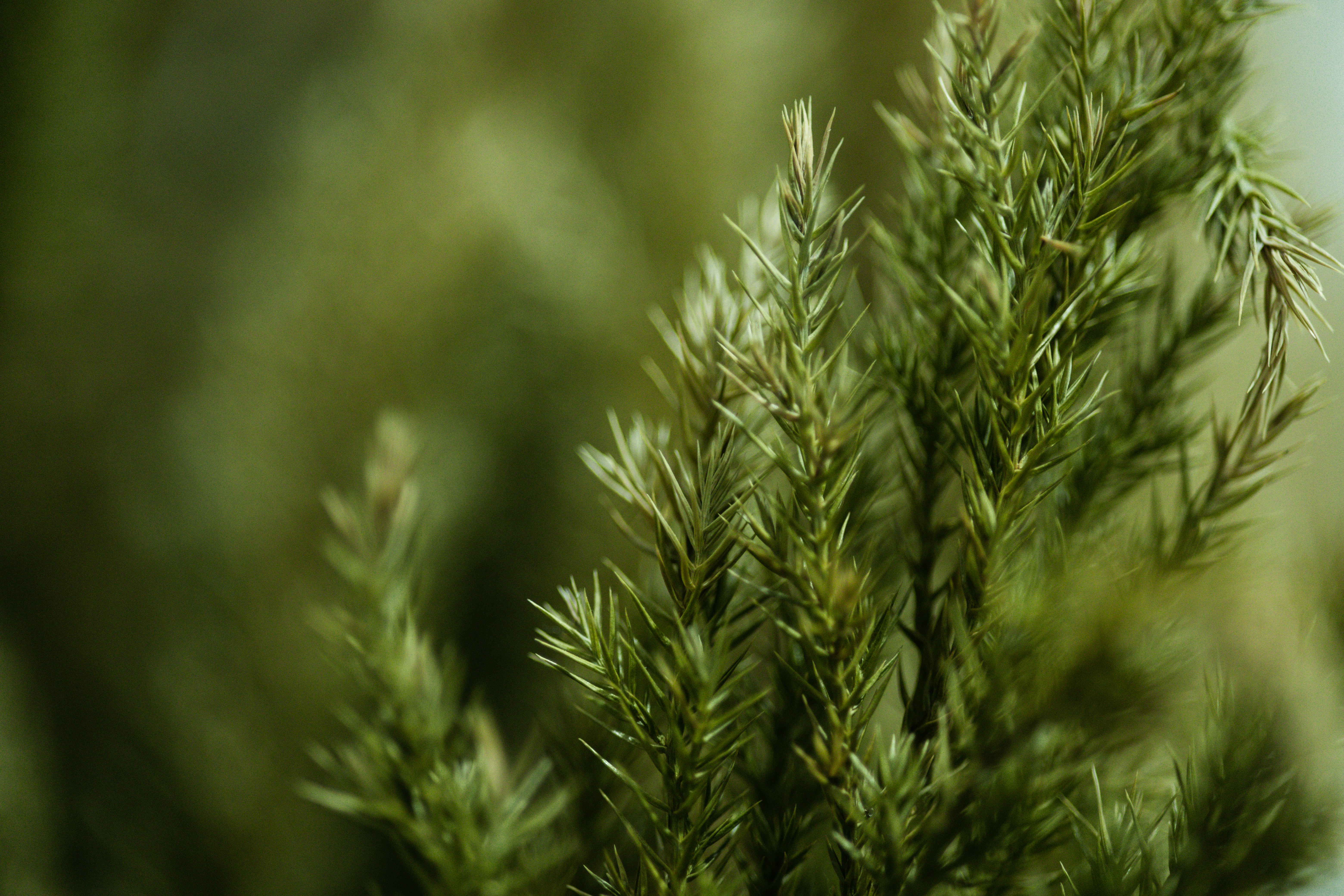 Photo by rrodriguesim