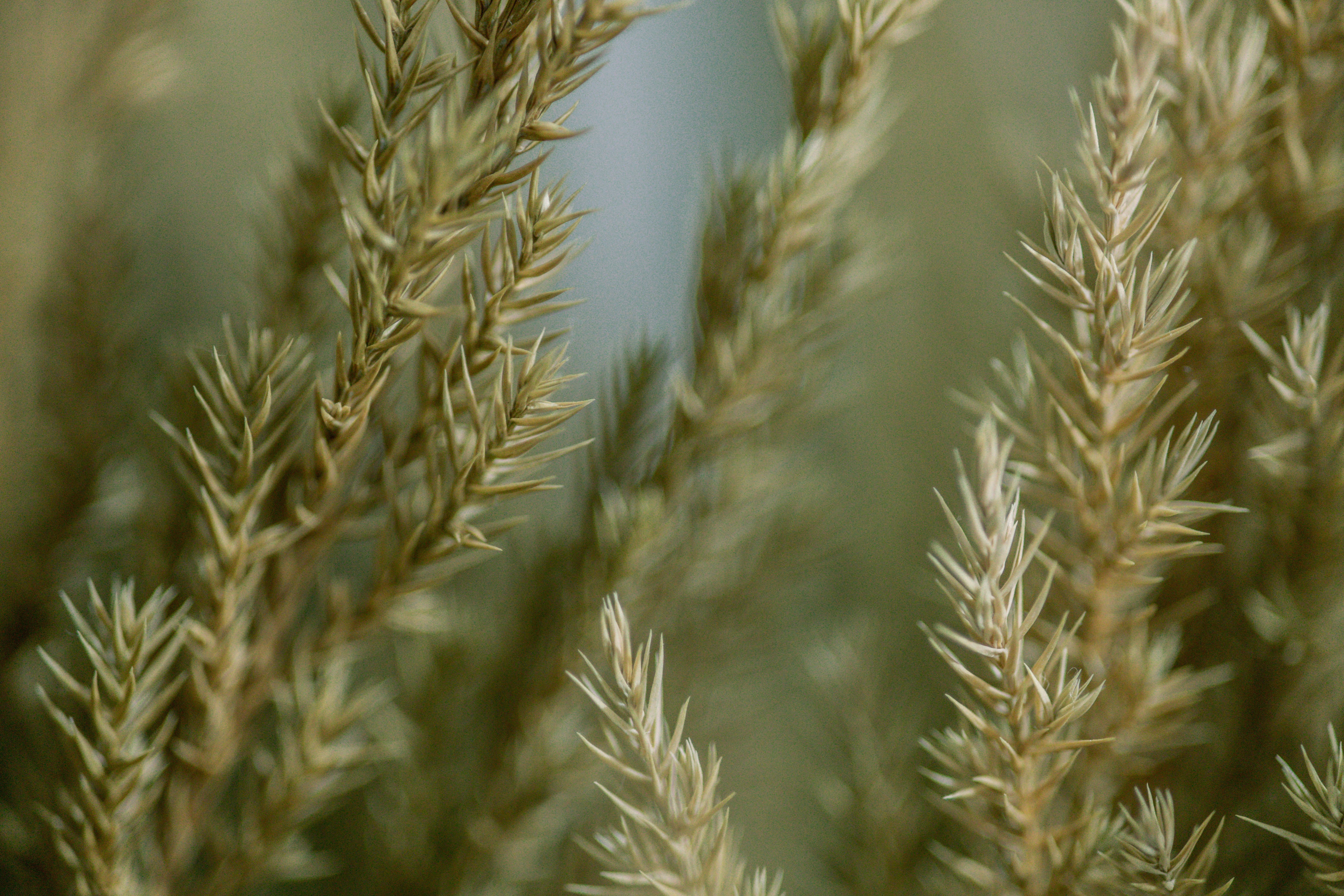 Photo by rrodriguesim