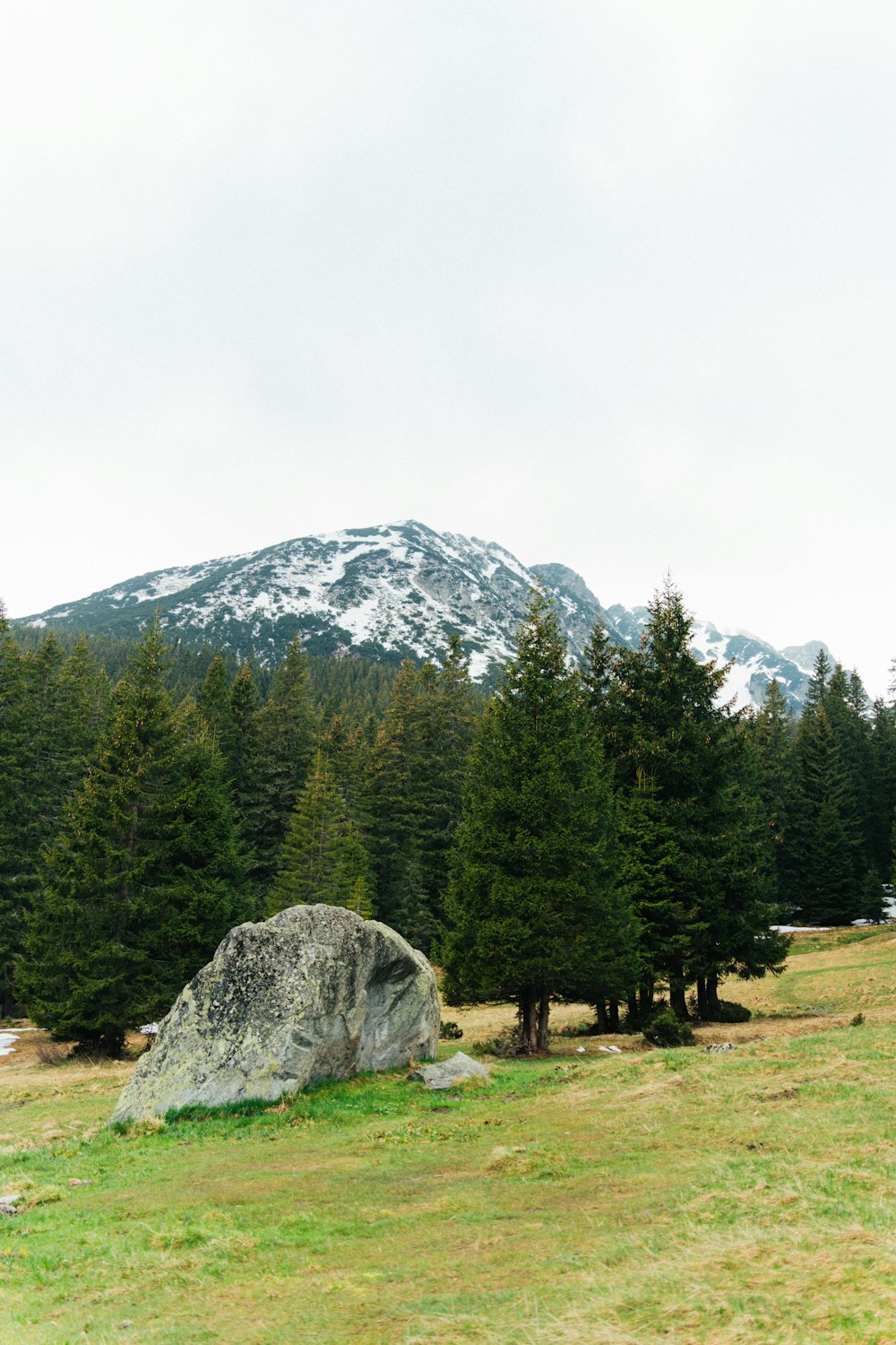 a large rock in the middle of a field