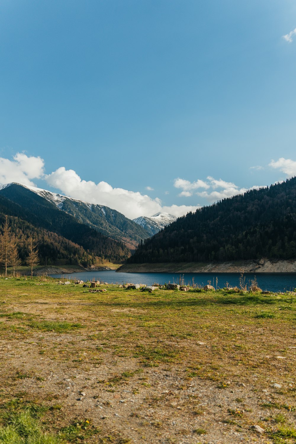 a grassy field with a lake and mountains in the background