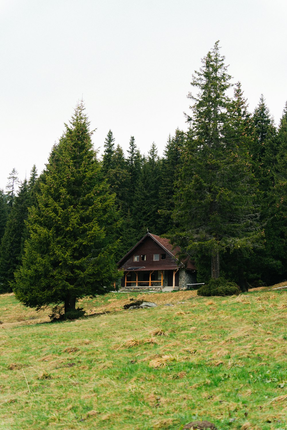 a cabin in the middle of a field surrounded by trees