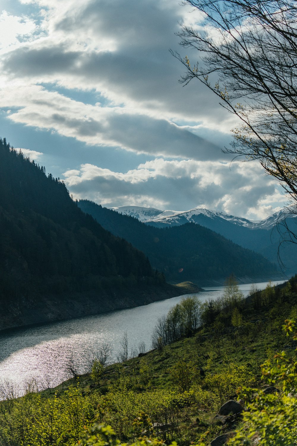 a body of water surrounded by mountains and trees