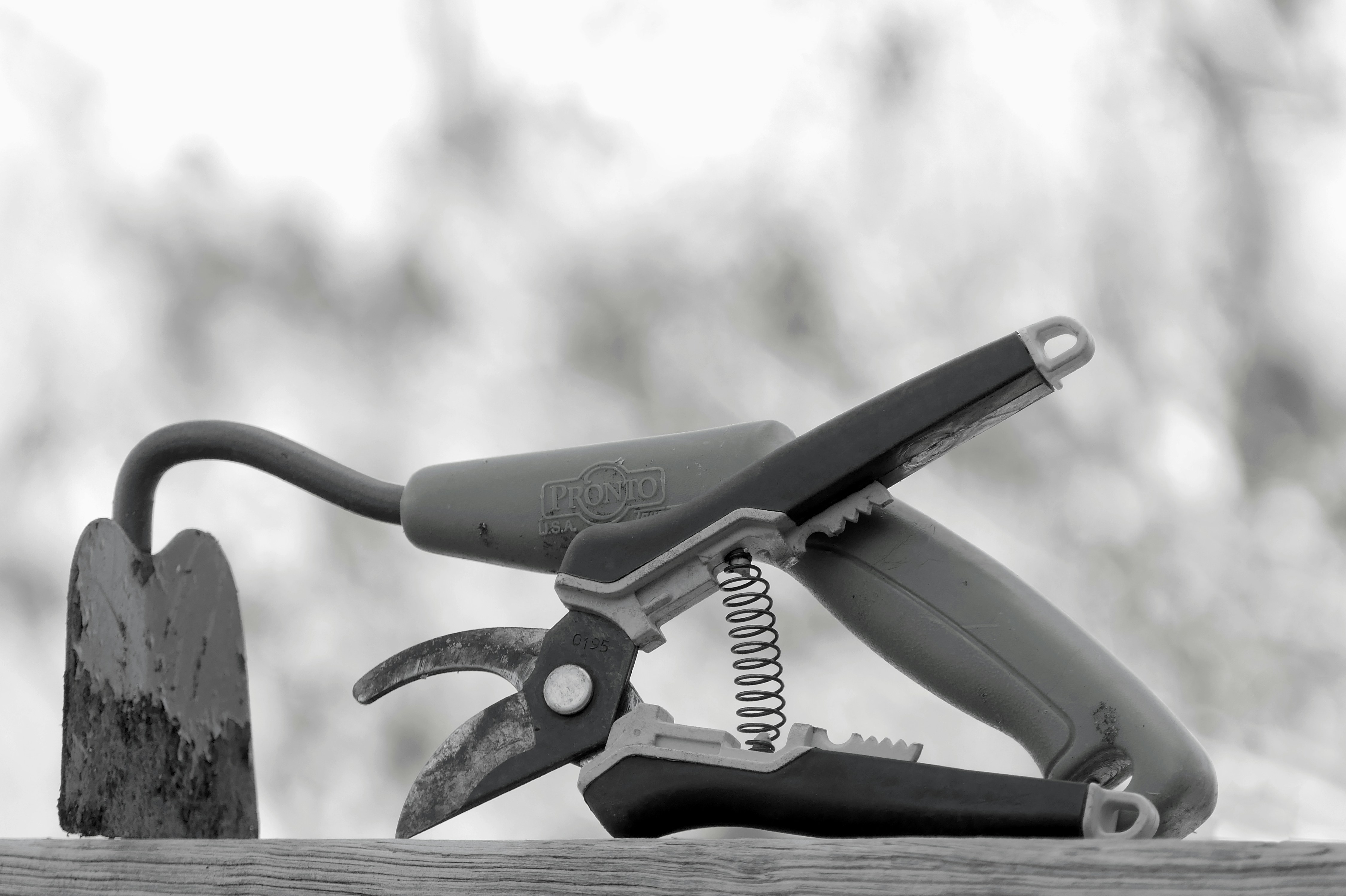 pruning tools