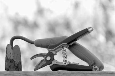 Professional pruning shears with wooden handle