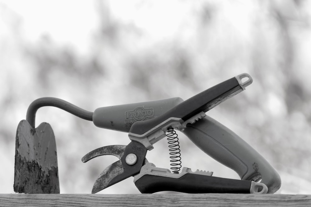 a black and white photo of a pair of scissors