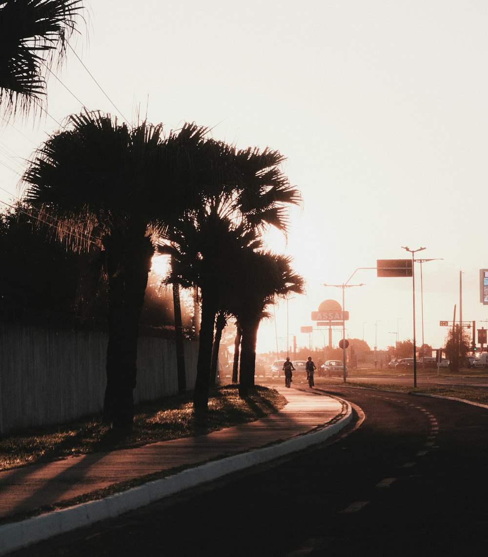 a person walking down a street next to palm trees