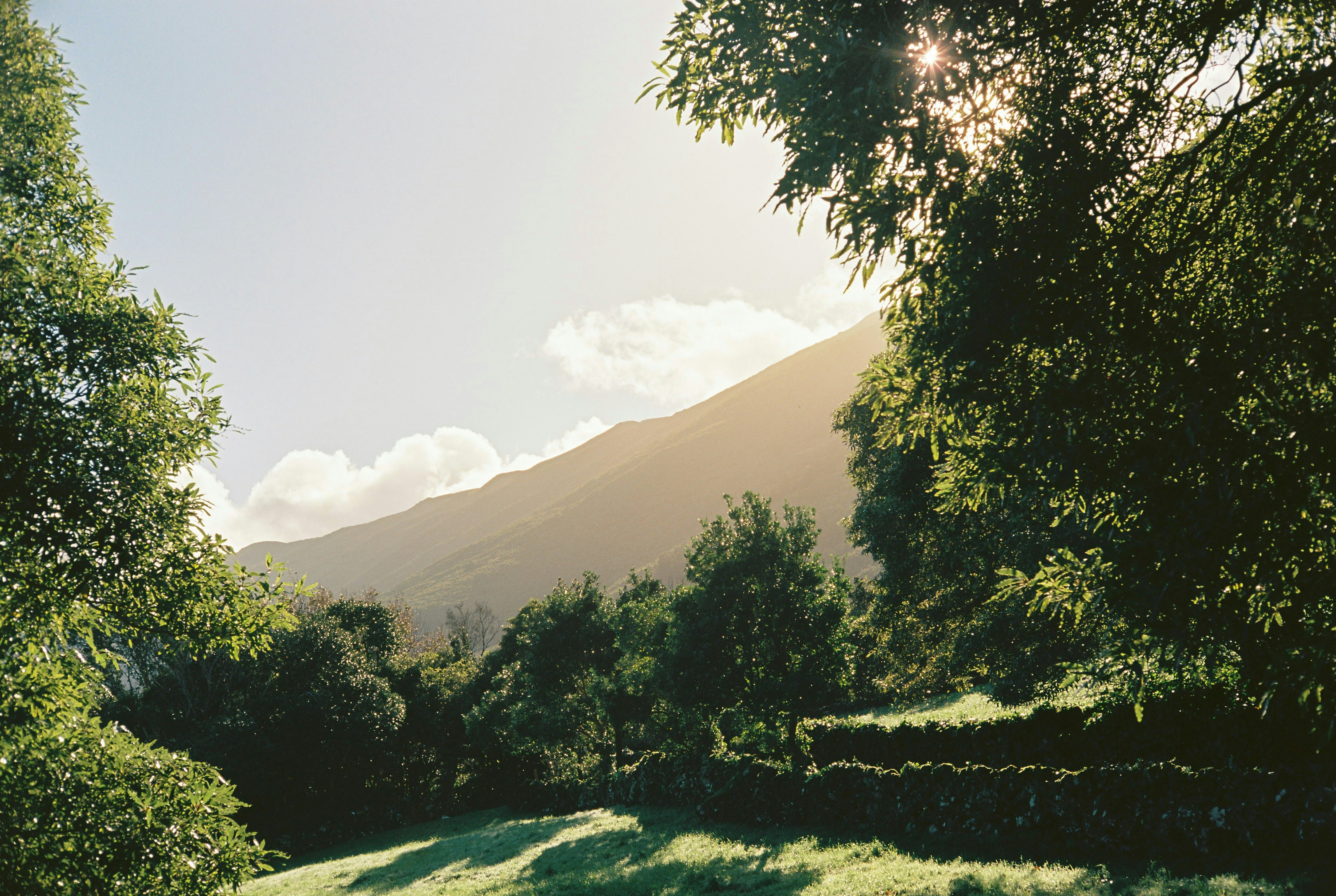 a lush green field with trees and a mountain in the background, A frame made with trees on Pico Island, Azores on film.