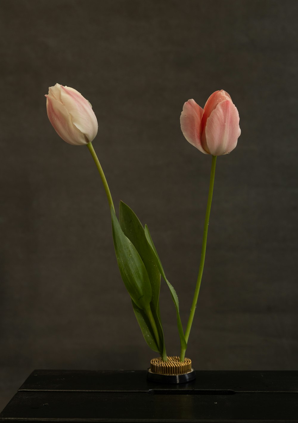 two pink tulips in a vase on a table