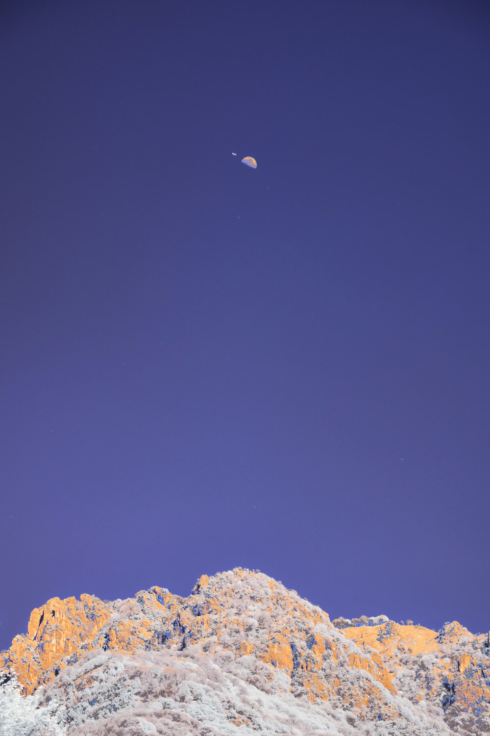 a view of the top of a mountain from below