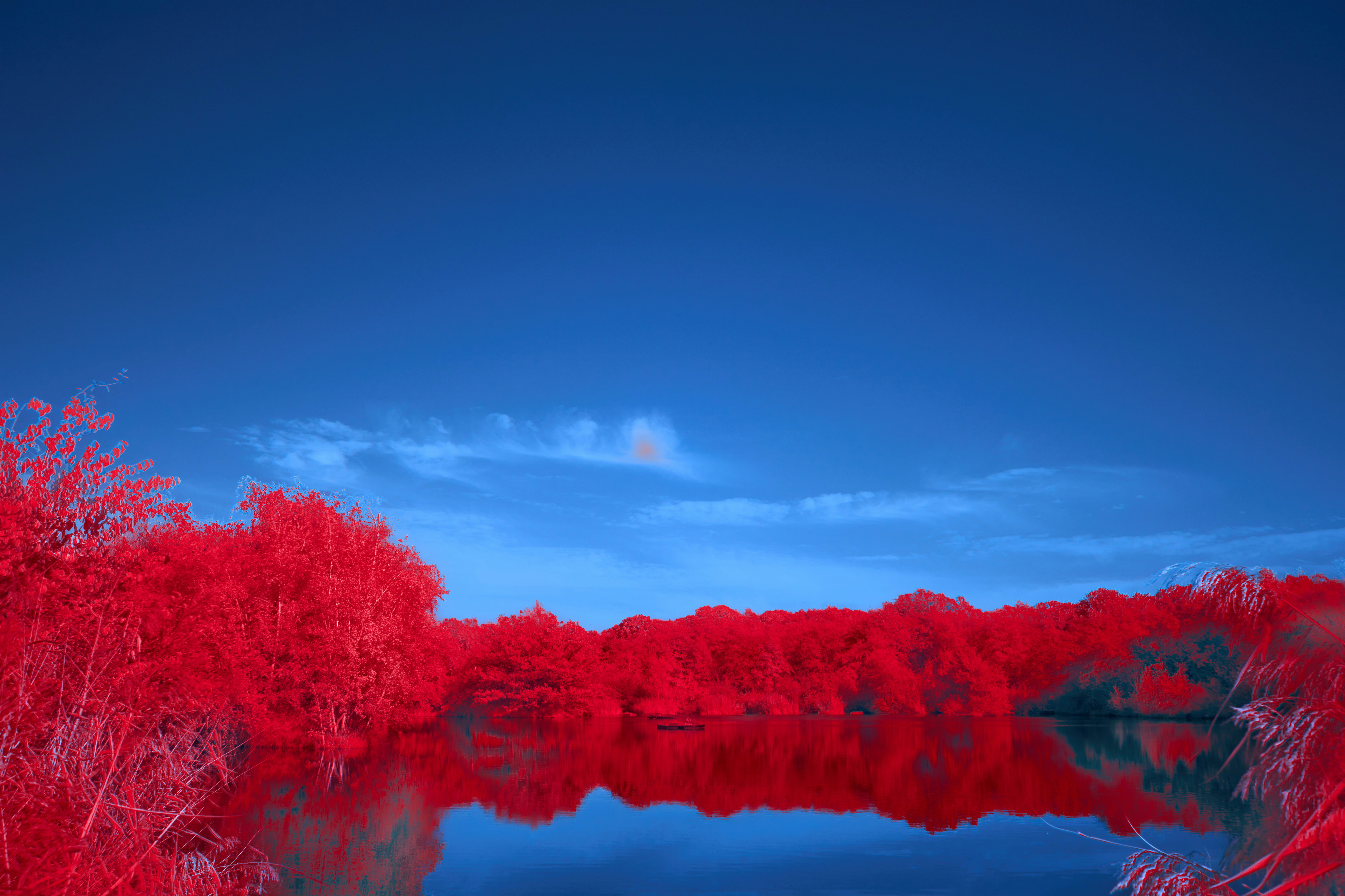 Photo by wolfgang_hasselmann