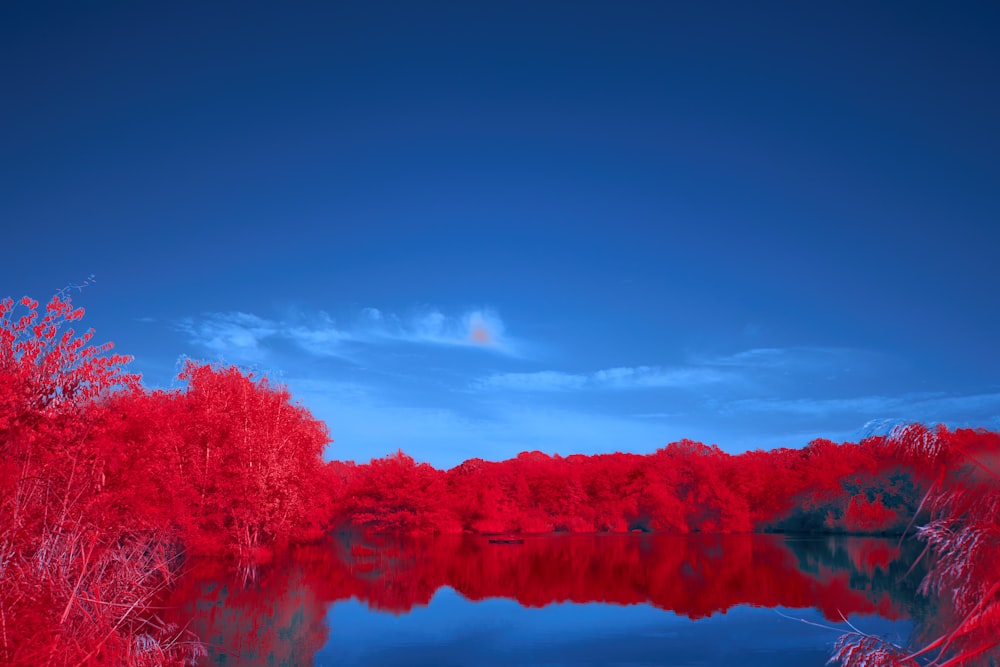 a lake surrounded by red trees under a blue sky