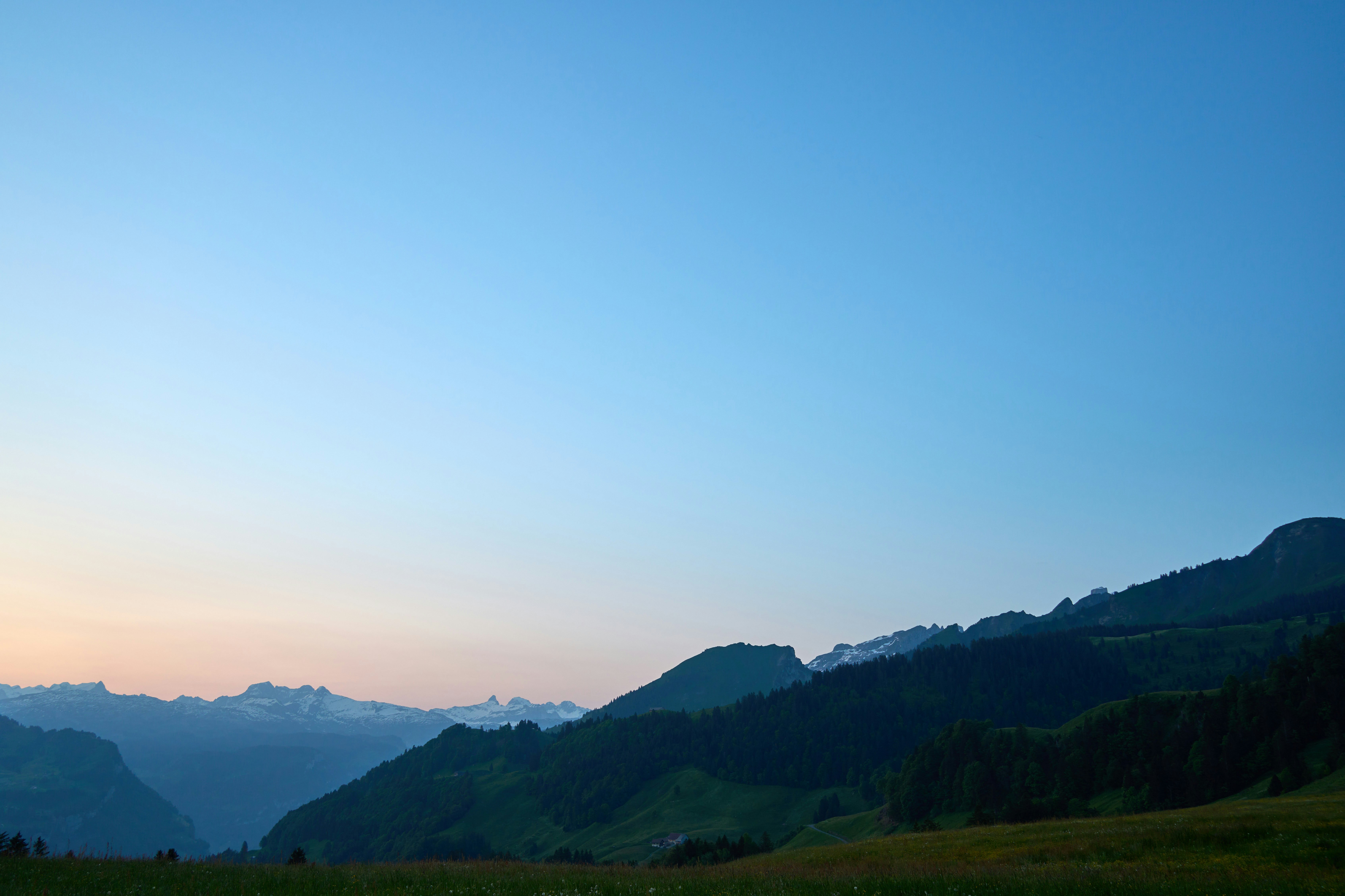 Photo by wolfgang_hasselmann