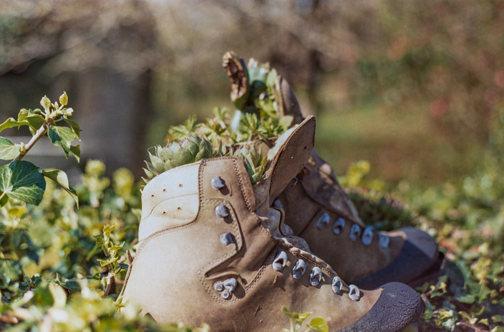 a pair of hiking boots sitting in the grass