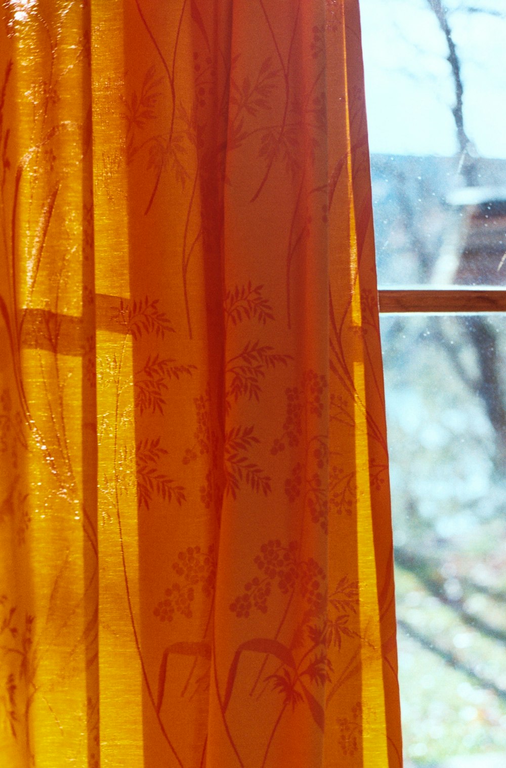 a cat sitting on a window sill next to a window