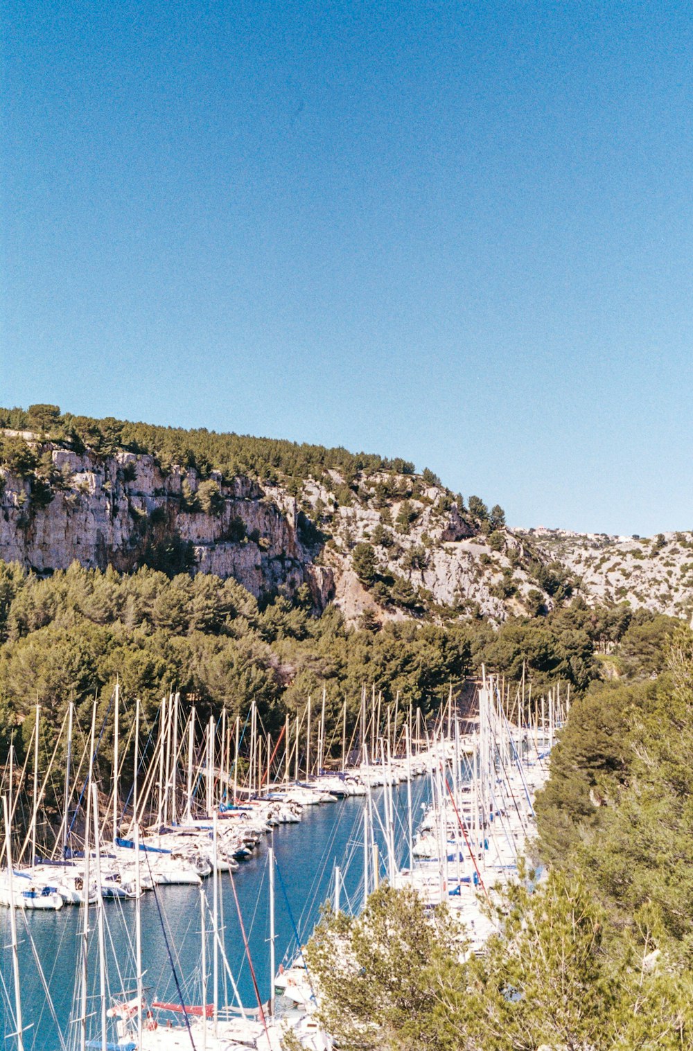 a bunch of boats that are in the water