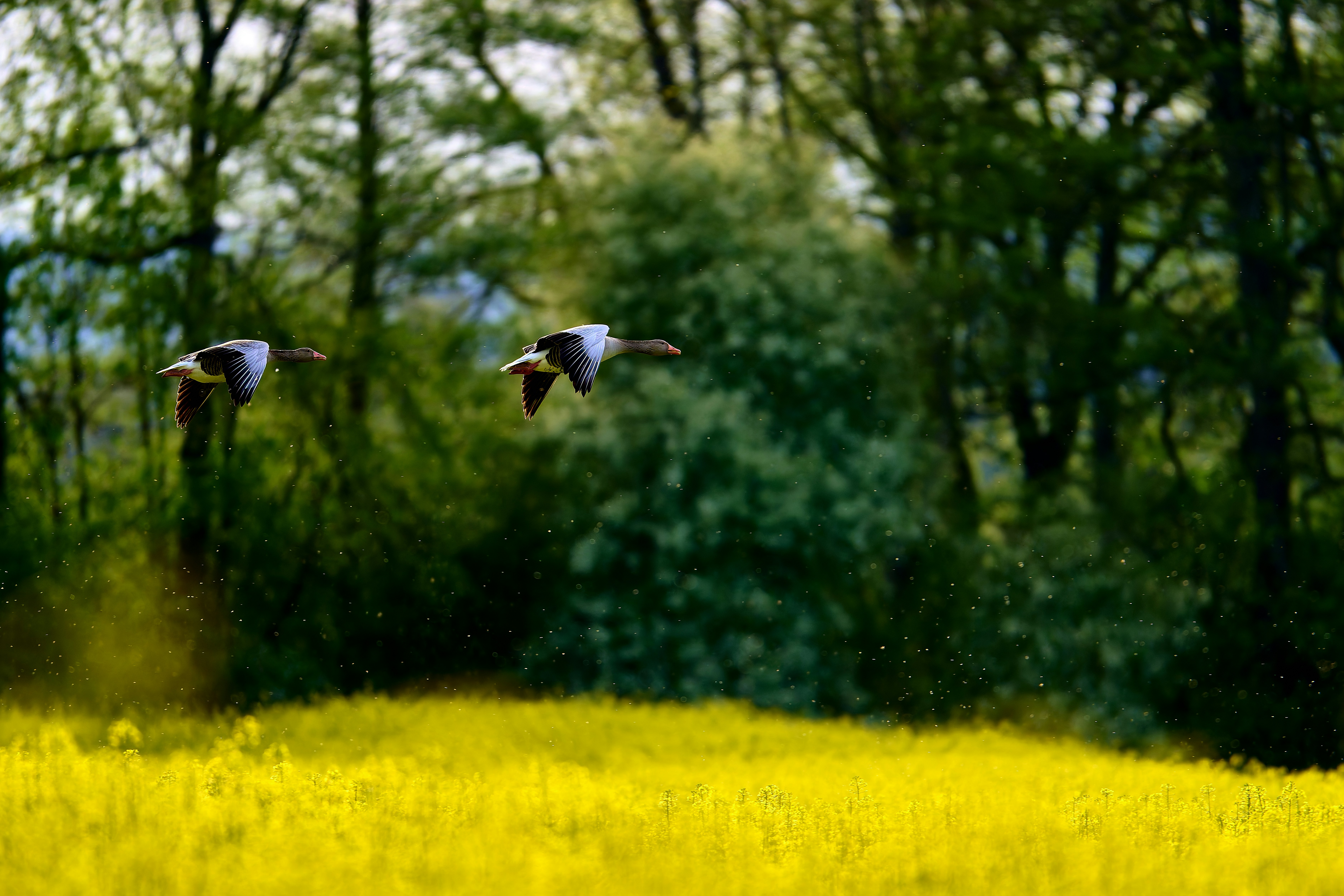 Photo by stefanschwinghammer