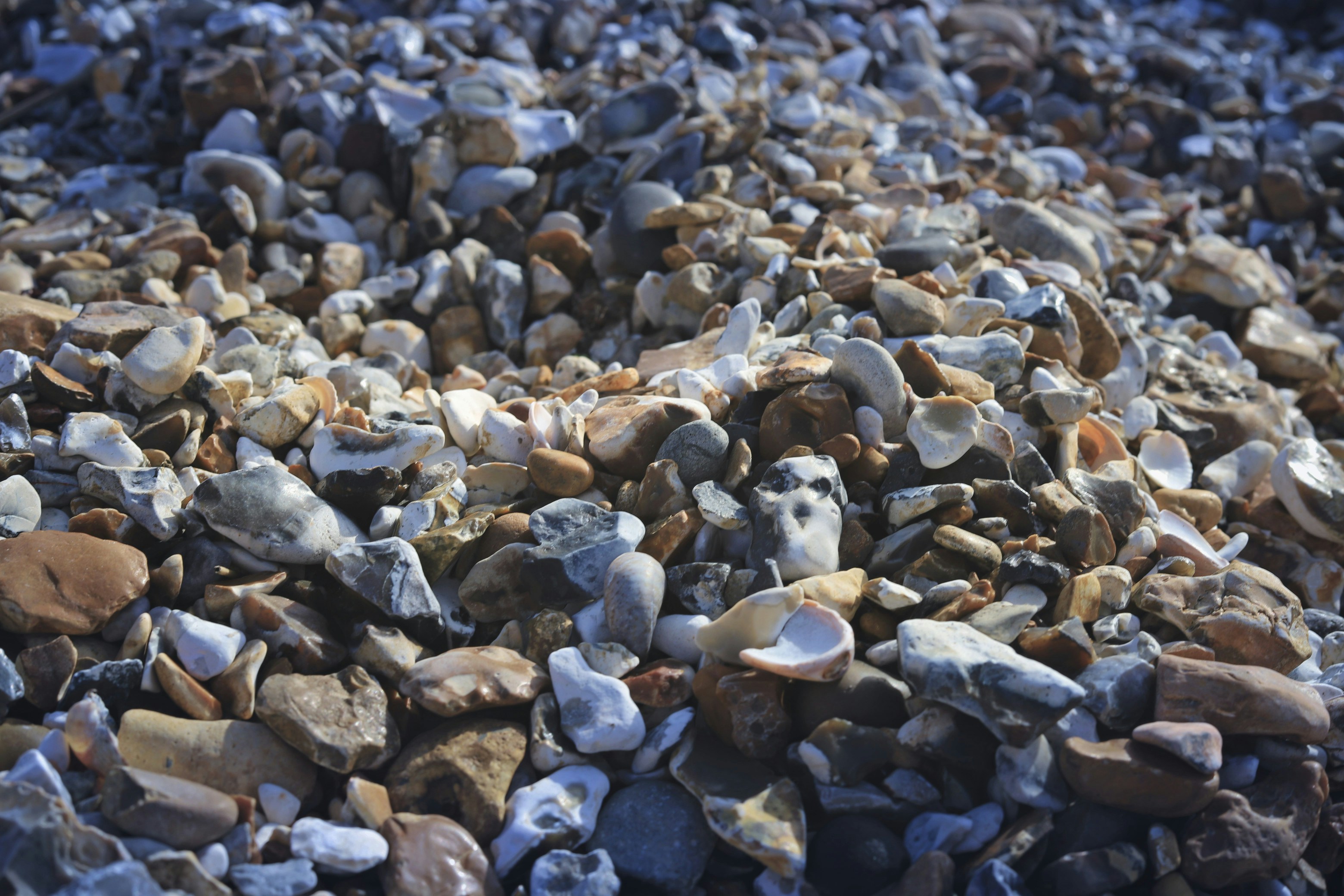 Photo by white_on_white