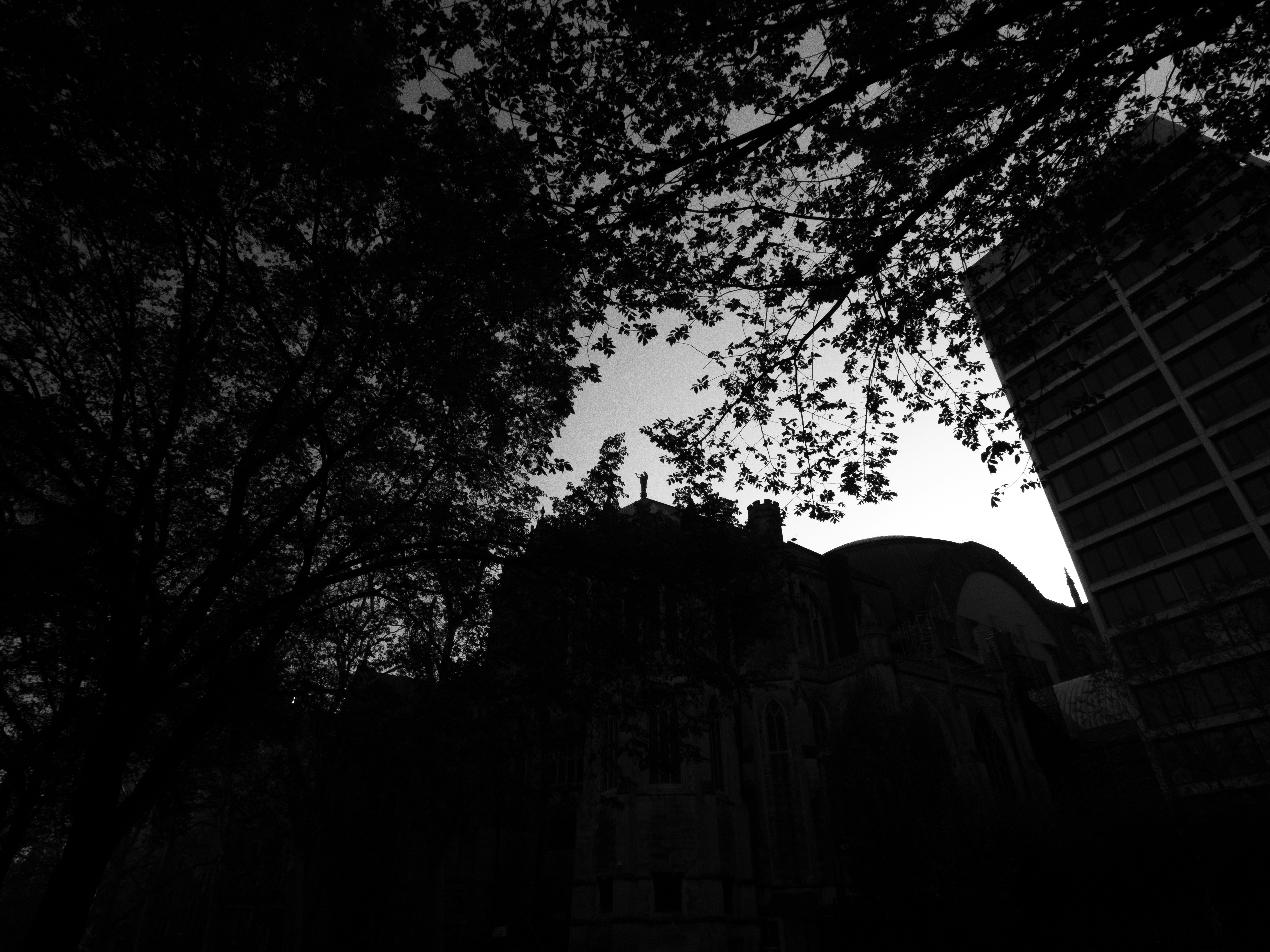 Photo by gabrielalmanzar