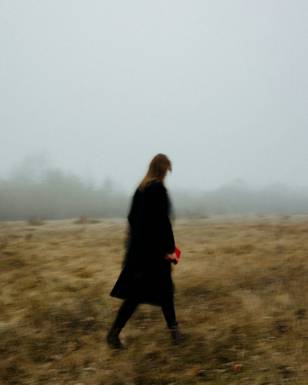 Una mujer camina en un campo con una cometa
