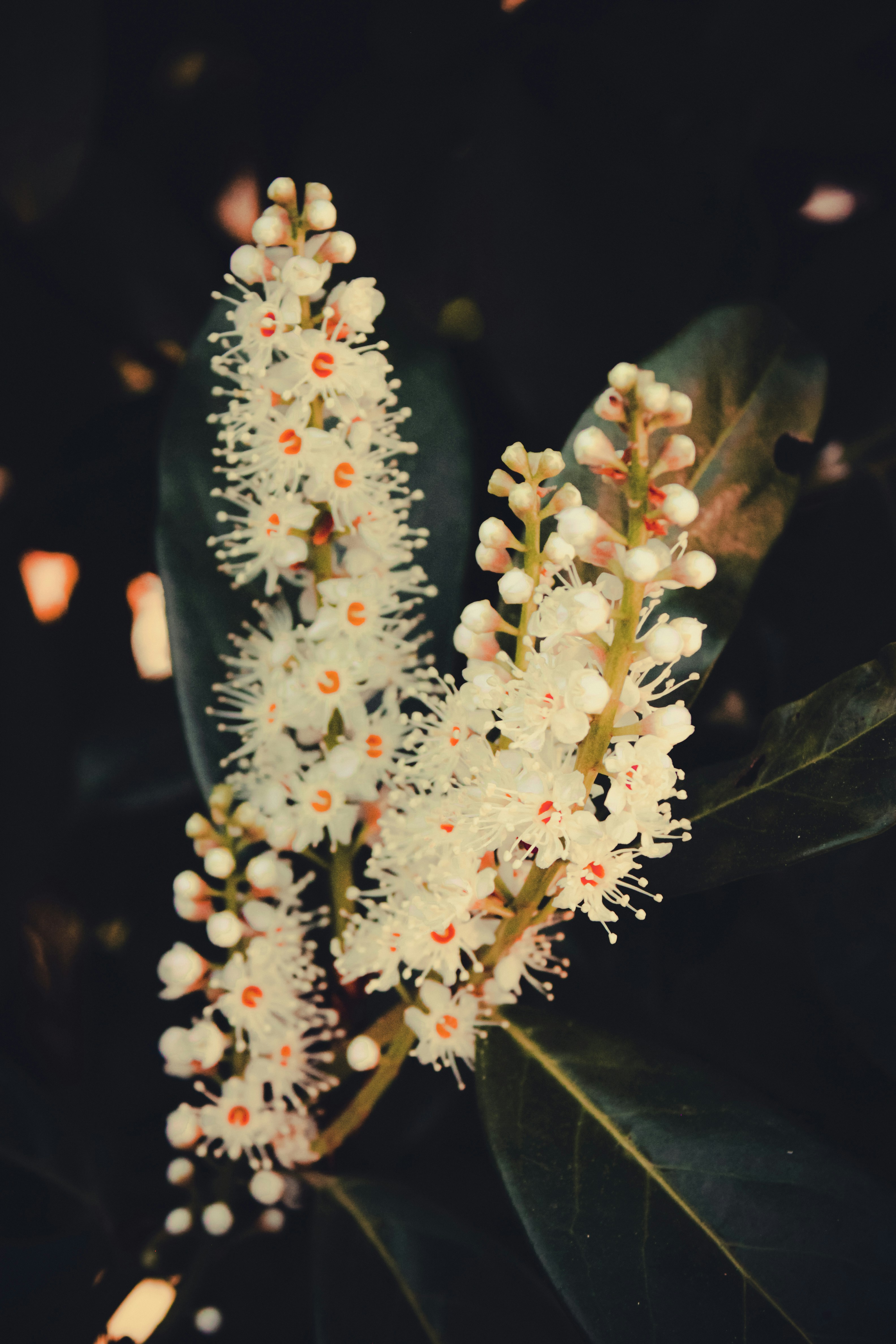 Photo by im_nacty