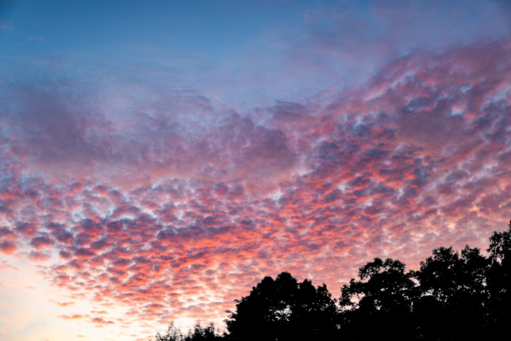 a pink and blue sky with clouds and trees