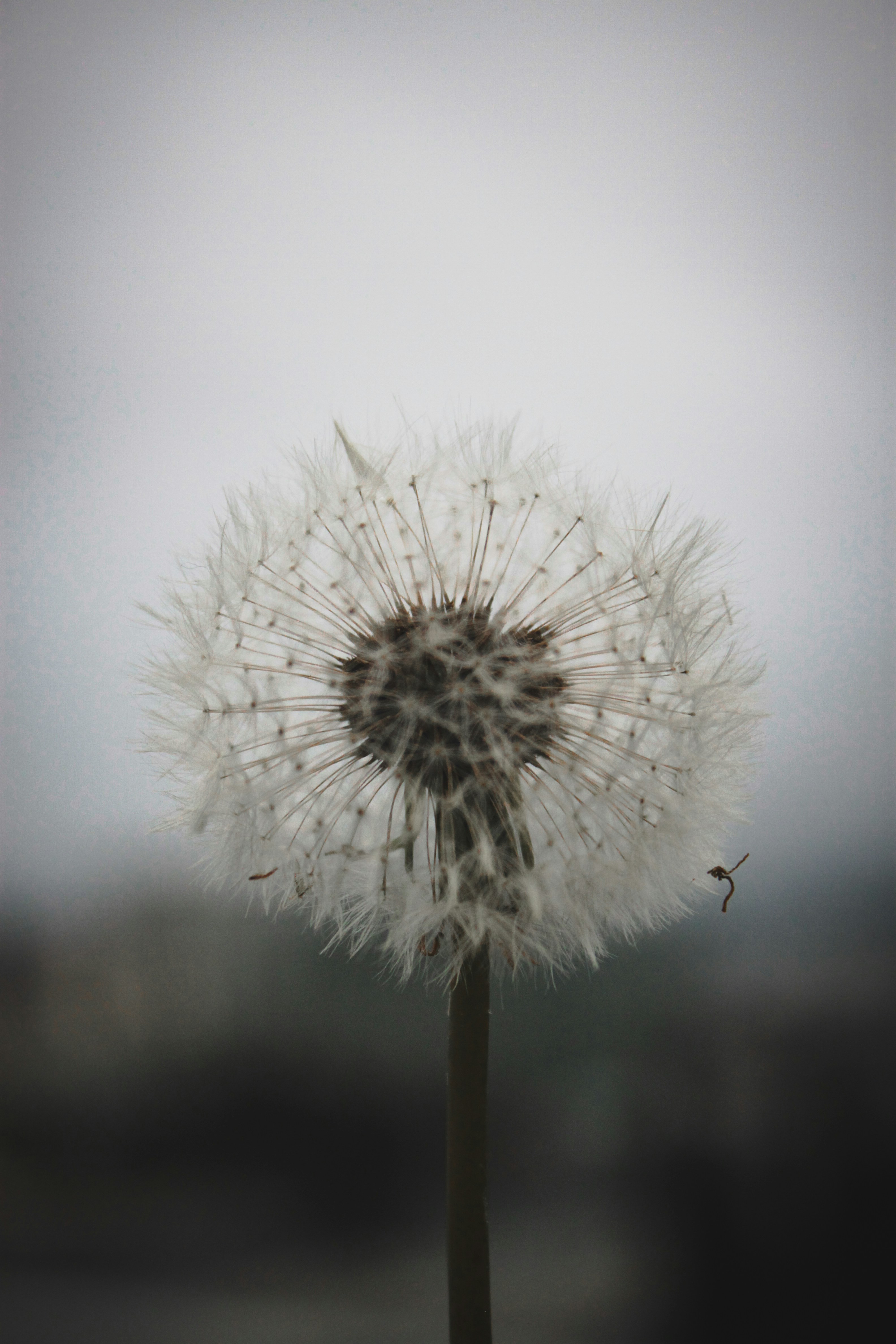 Photo by im_nacty