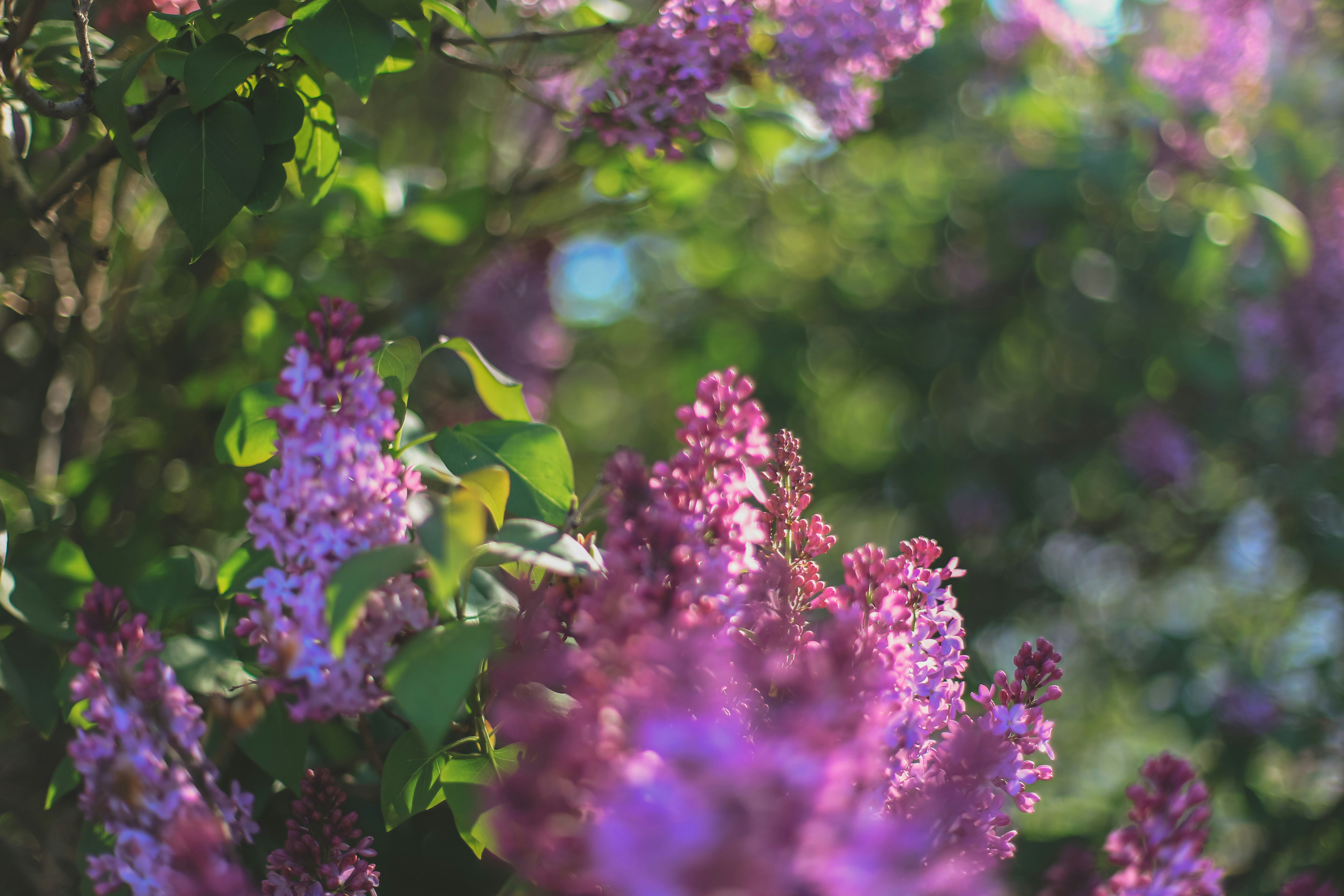 Photo by jessicalfadel