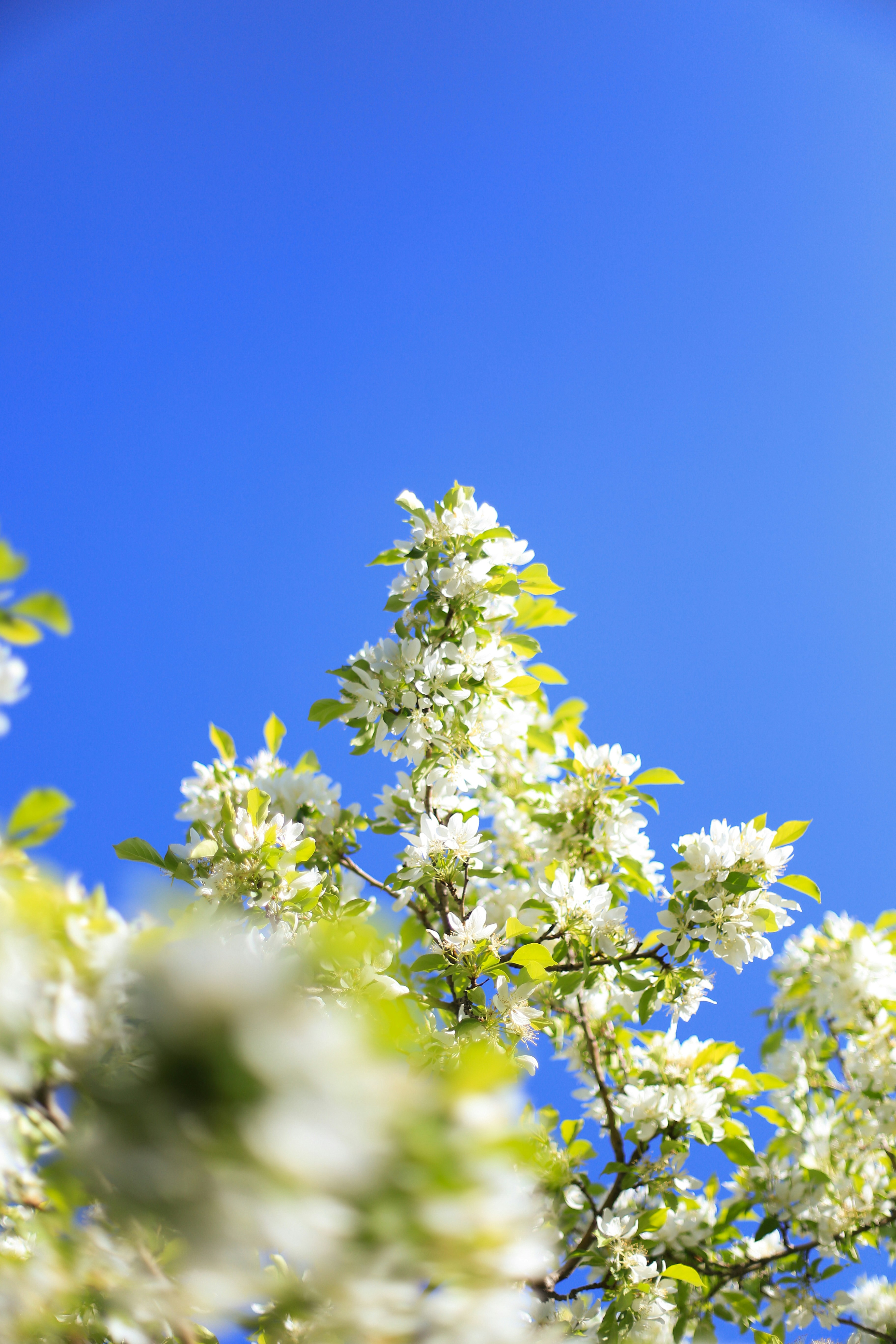 Photo by jessicalfadel