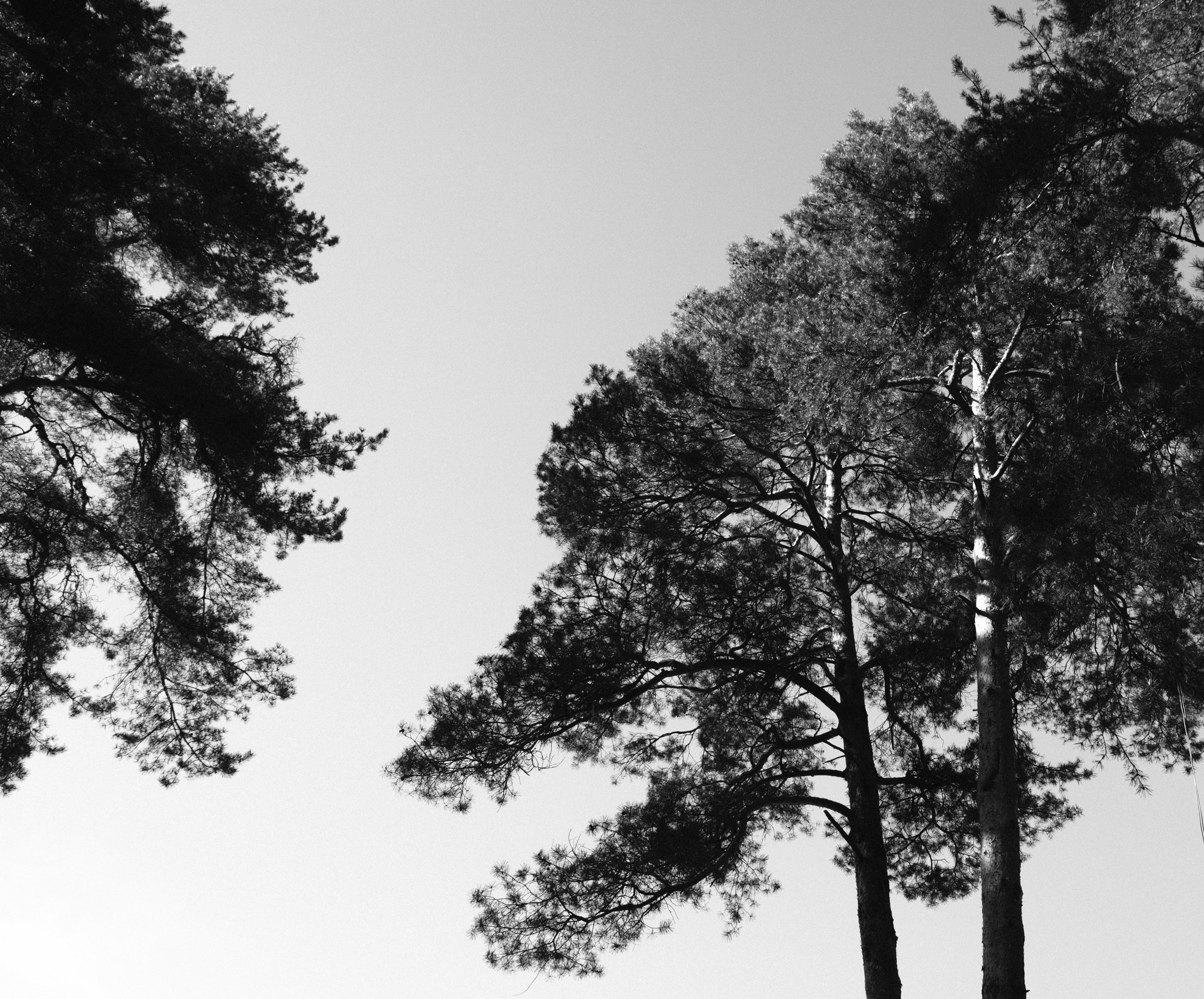 Photo by icarusbless