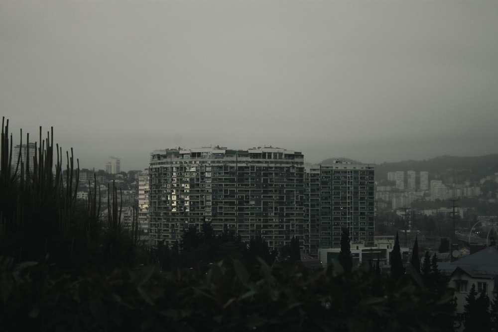 a view of a city with tall buildings in the background