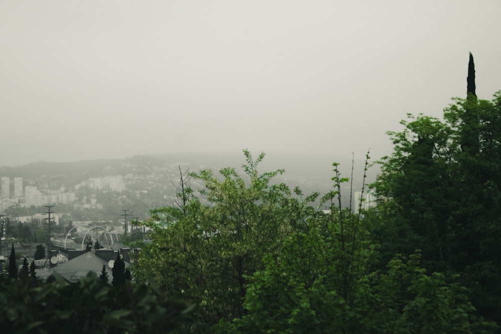 a view of a city from a hill