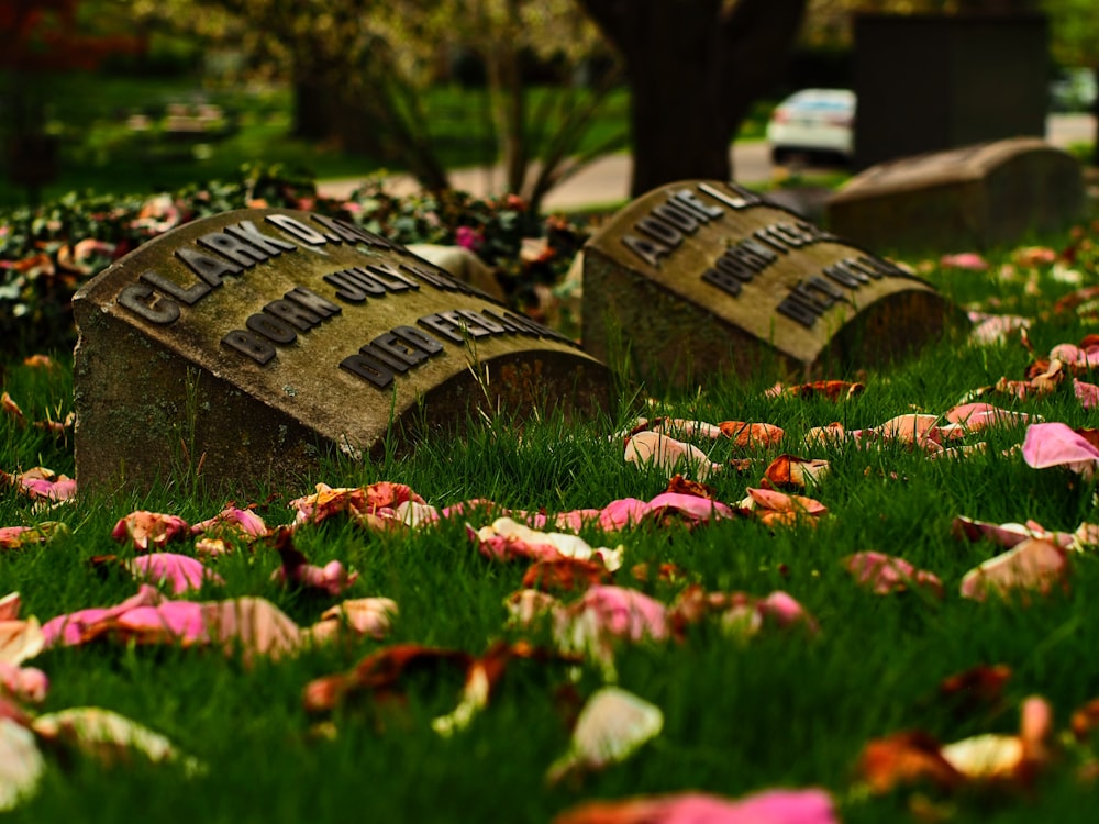 a couple of stone benches sitting on top of a lush green field