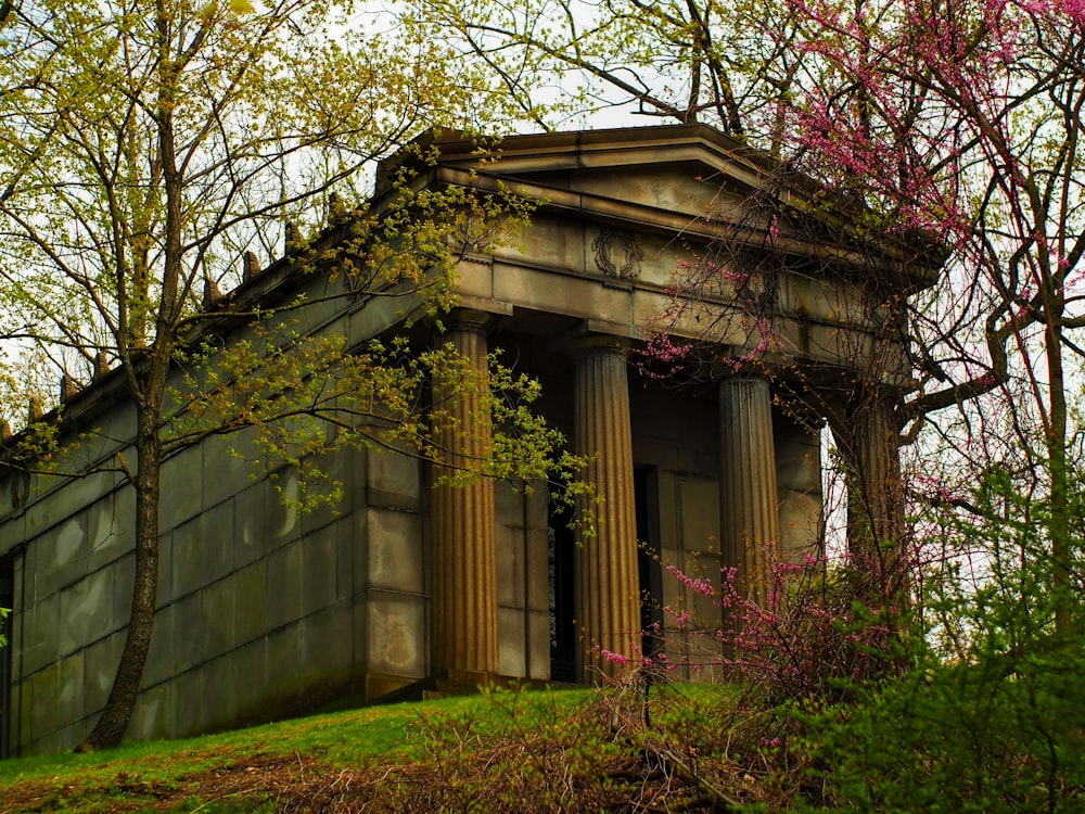 an old building with columns in the middle of a forest