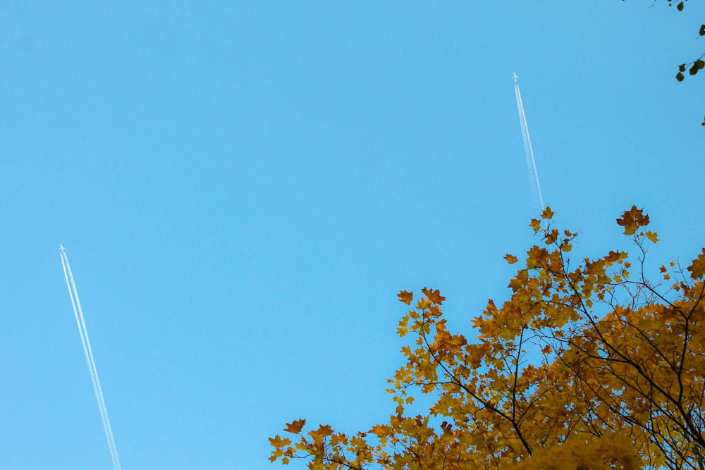 a plane flying in the sky over some trees