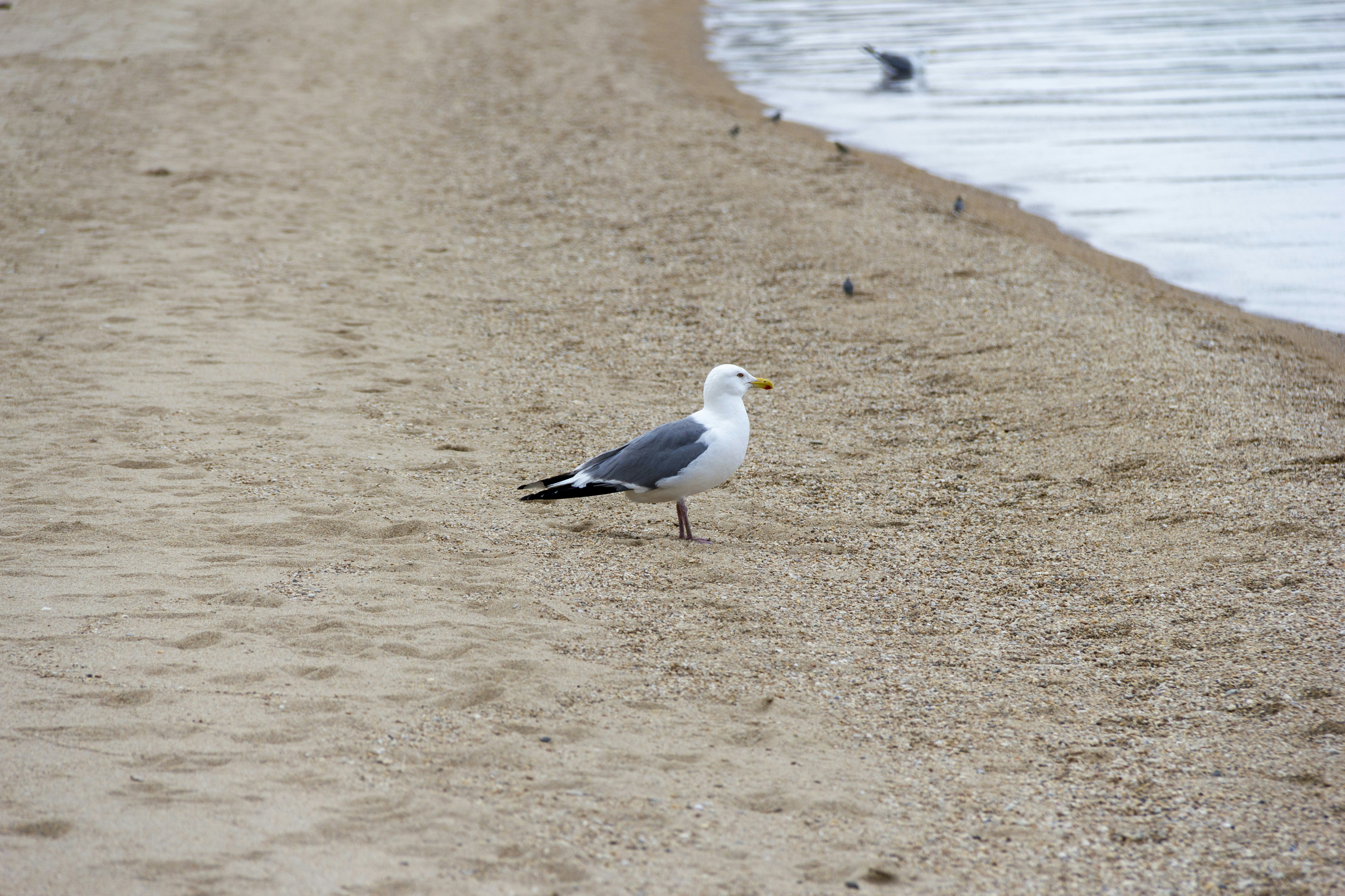 Photo by salty_morning