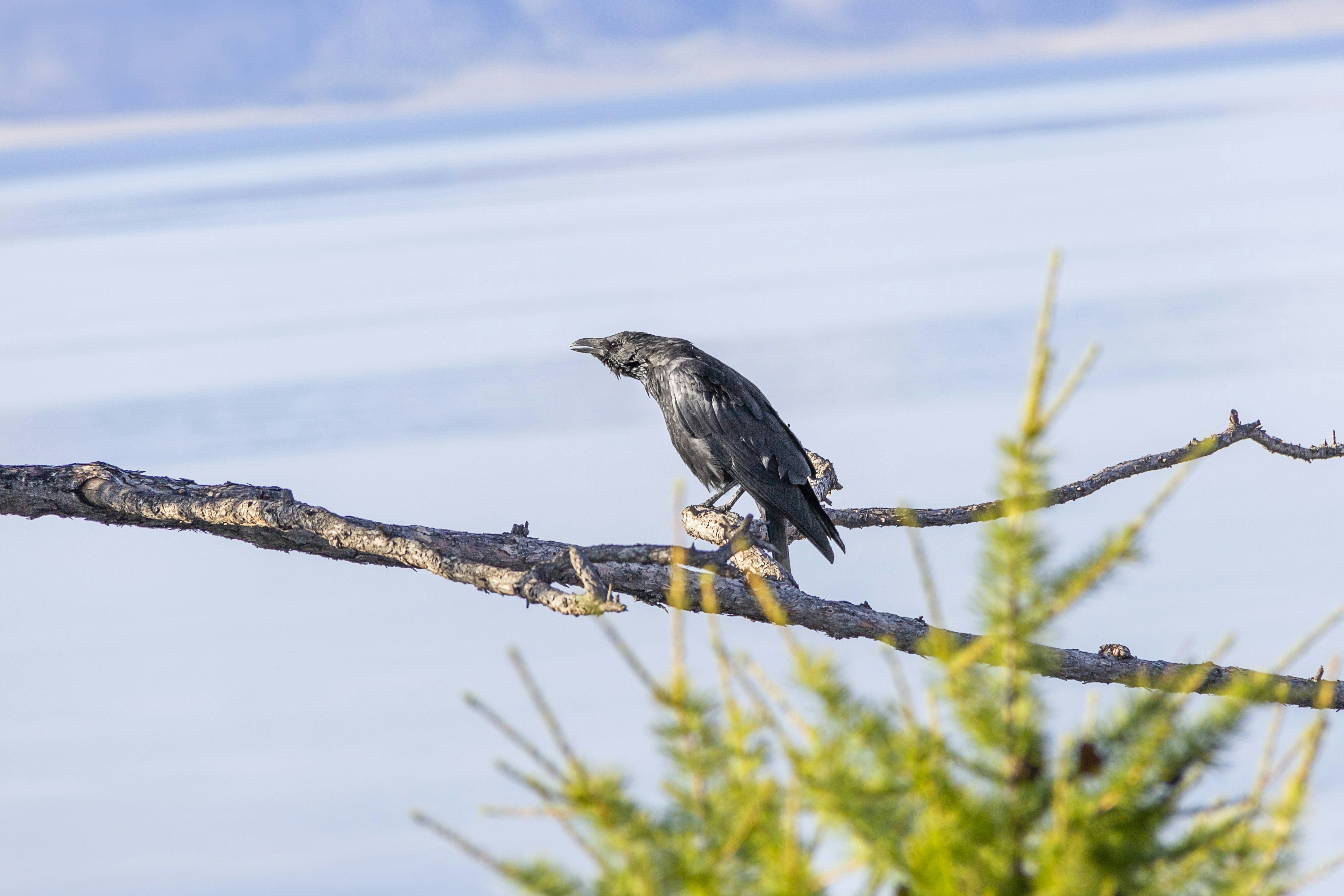 Photo by salty_morning