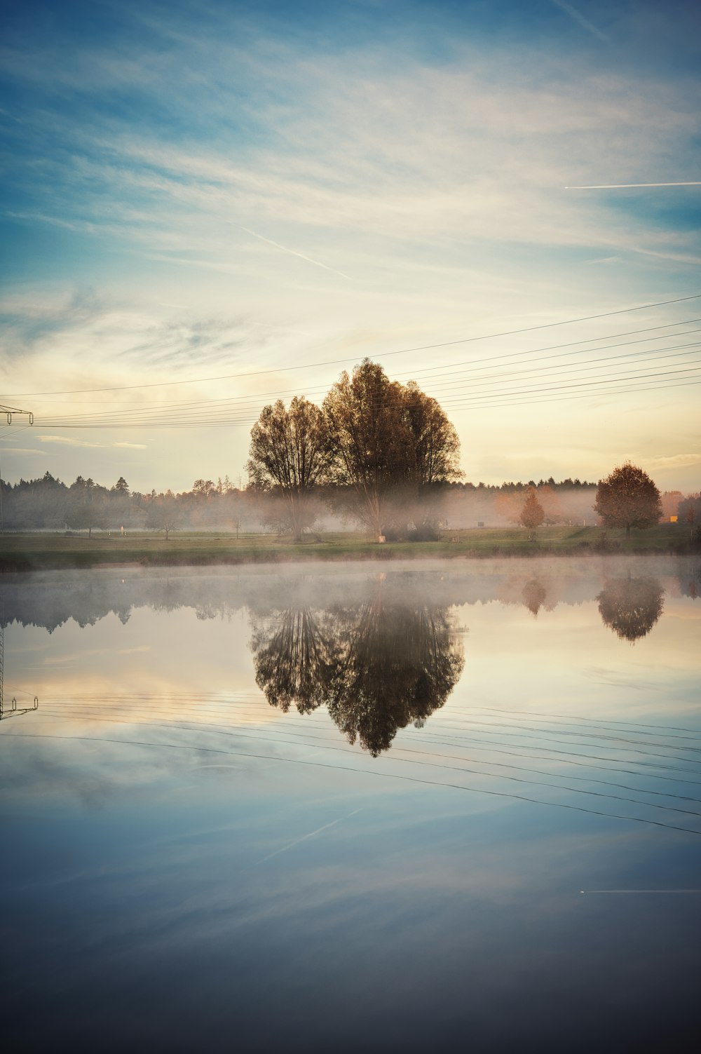 a body of water with a tree in the background