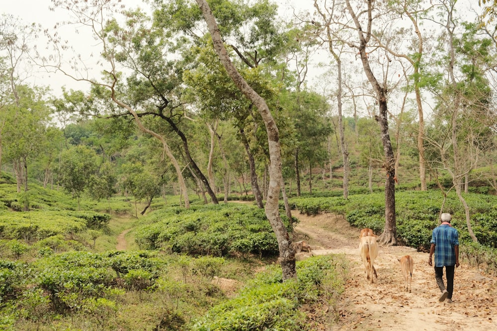 a man walking a dog down a dirt road