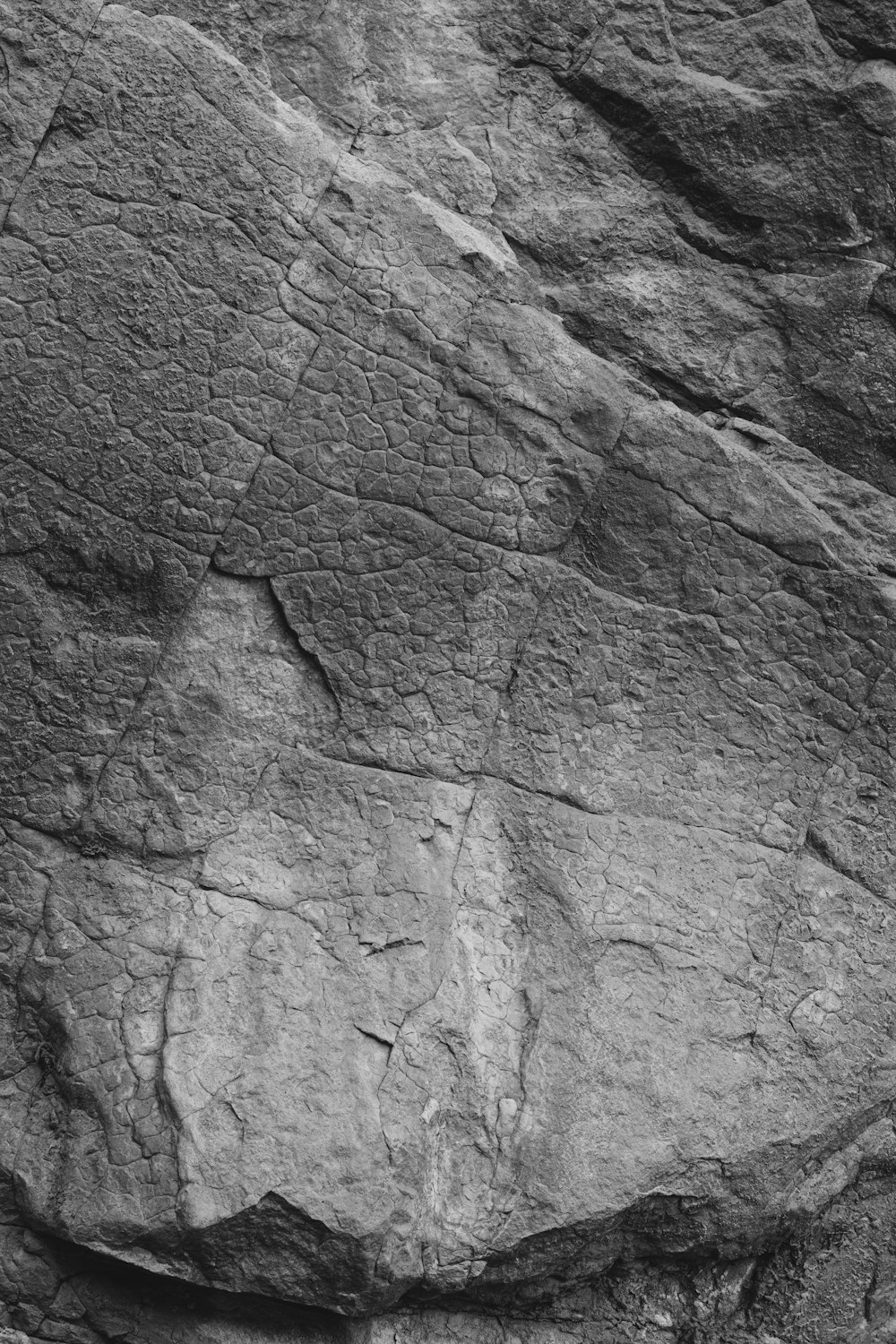 a black and white photo of a rock face