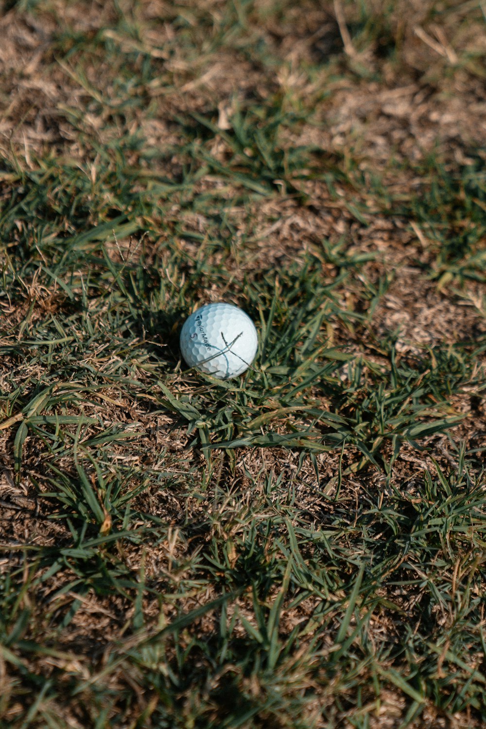 잔디밭 바닥에 누워 있는 골프공