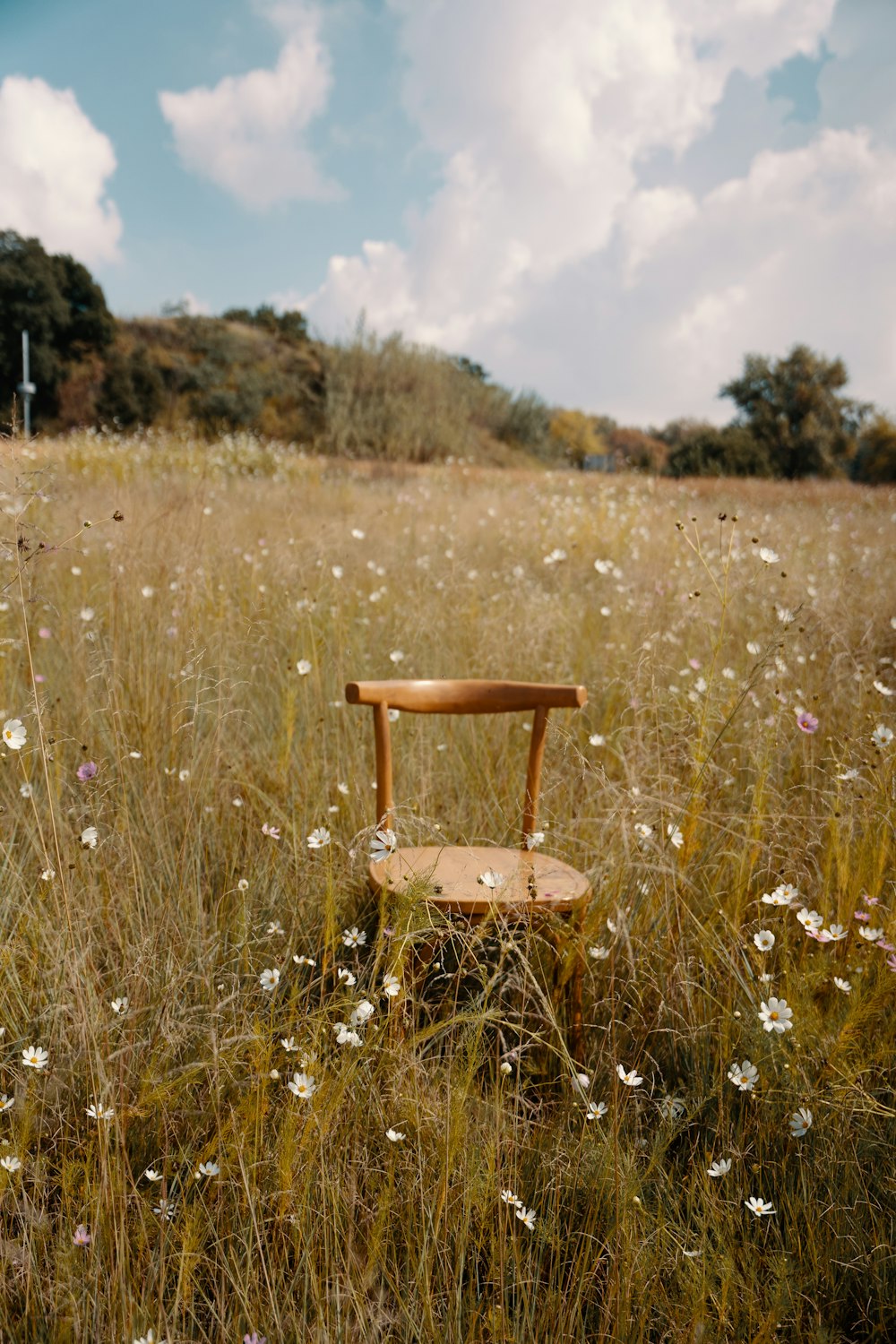 a wooden chair sitting in a field of flowers