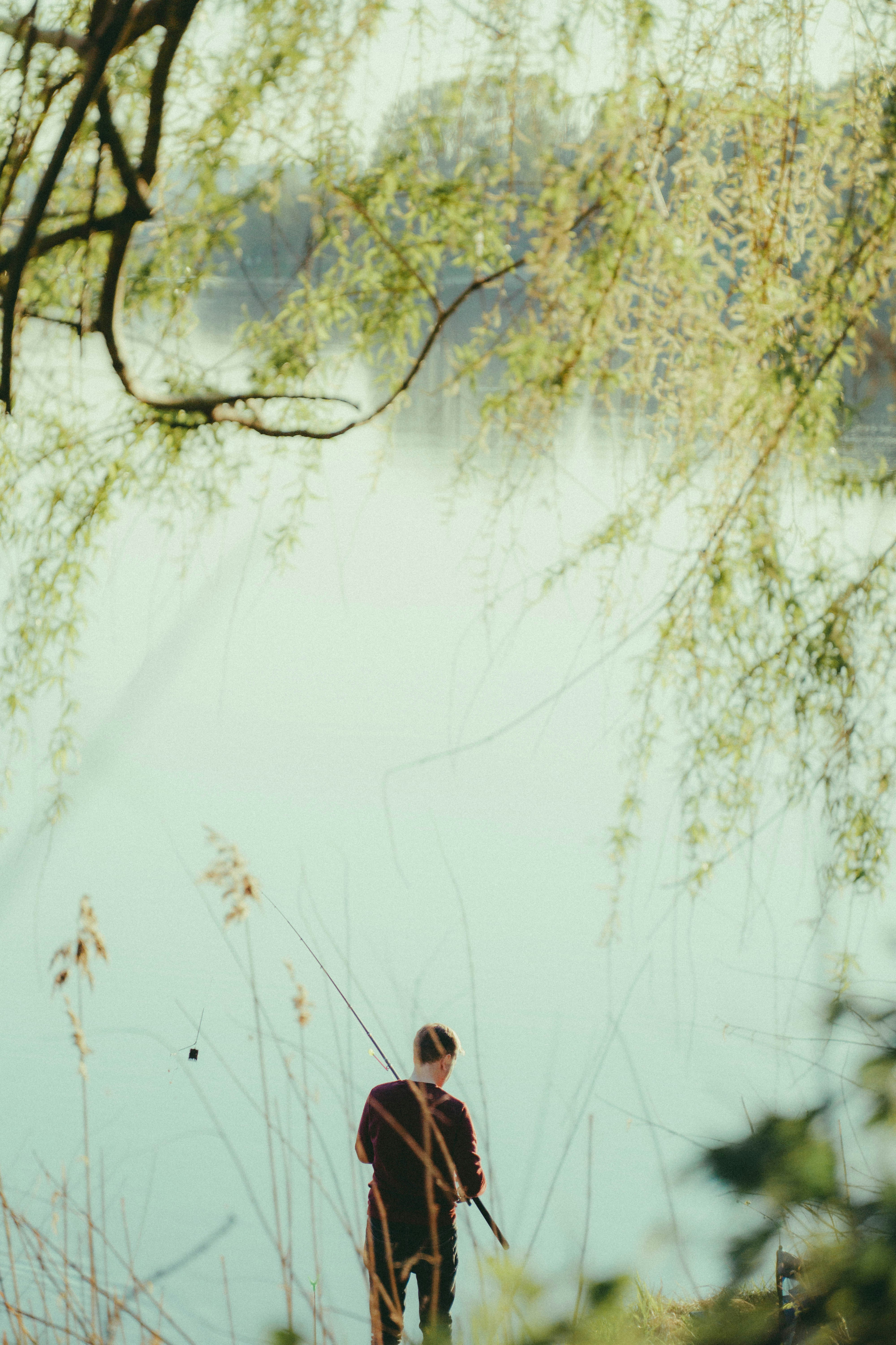 Photo by abalashevsky